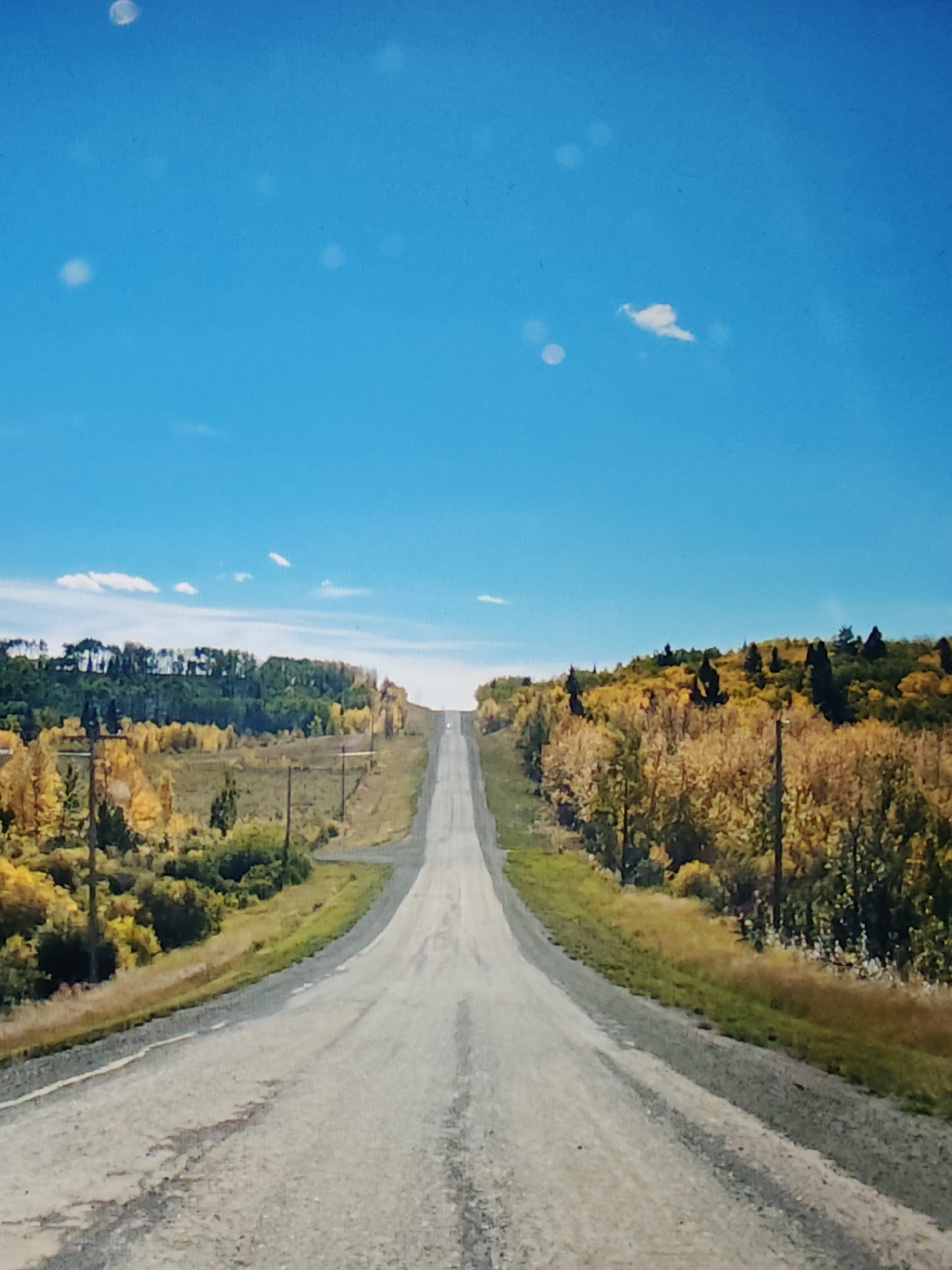 This image captures a view of a long, straight, paved road stretching towards the horizon, flanked by hills covered in autumn foliage of yellow and orange. The sky is a vibrant blue with a few scattered white clouds. Power lines are visible on both sides of the road, running alongside the treeline. The road itself appears somewhat worn, with some cracks and patches visible. The scene evokes a sense of distance and an autumnal landscape. The image does not provide specific visual cues that would allow for identification of a precise location within Calgary, Canada.