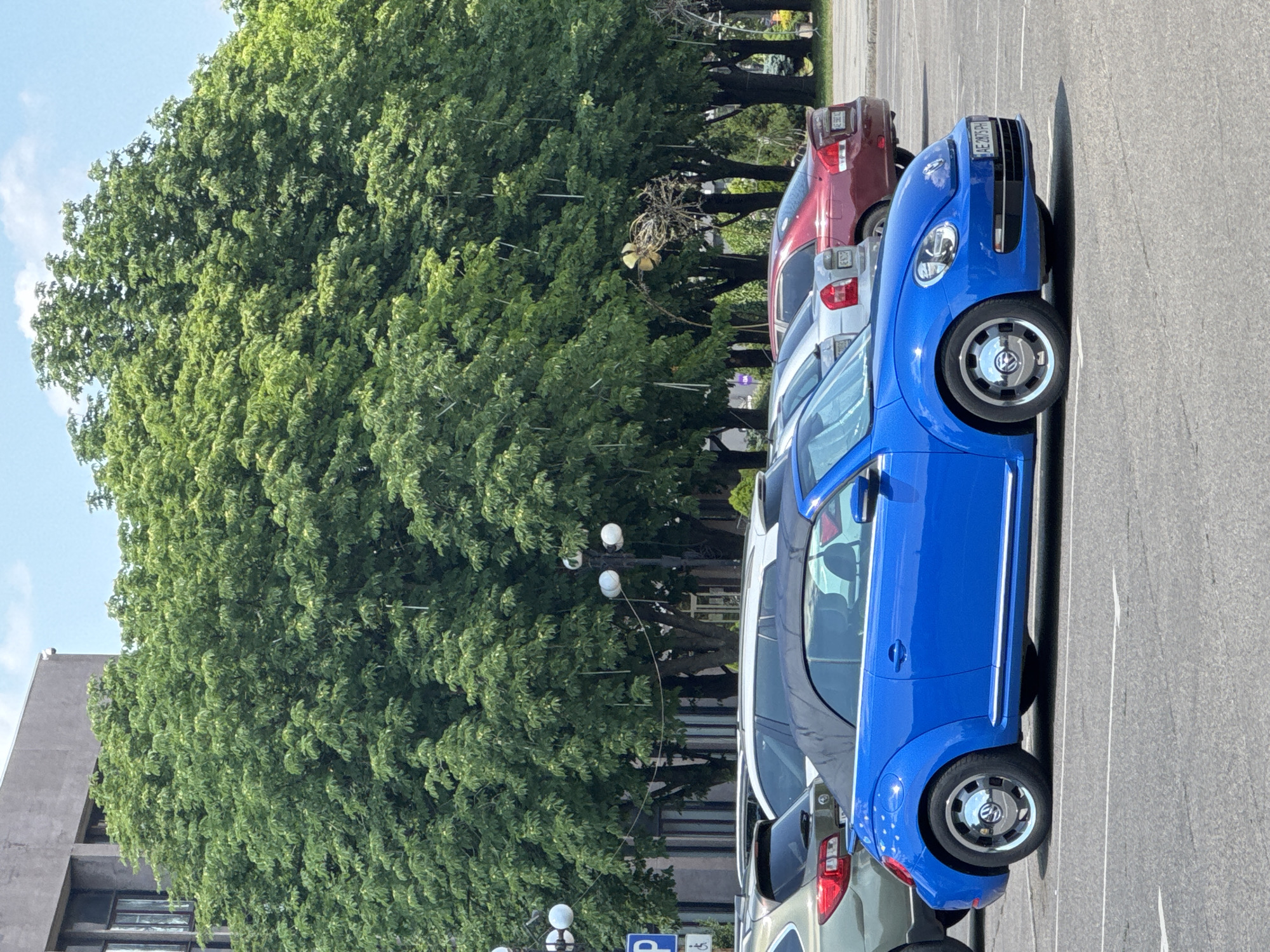 A bright blue convertible Volkswagen Beetle is parked in an outdoor parking lot, facing right. The car has its soft top up and its wheels are silver. Behind the Beetle, other vehicles are parked, including a silver sedan and a red sedan. In the background, a row of large, leafy green trees forms a dense canopy against a bright blue sky with scattered white clouds. A building with a gray facade is visible behind the trees on the left side of the image. There are no people visible in the frame. The scene appears to be a typical urban streetscape on a sunny day. The license plate of the blue car reads "AE 2875 PH."