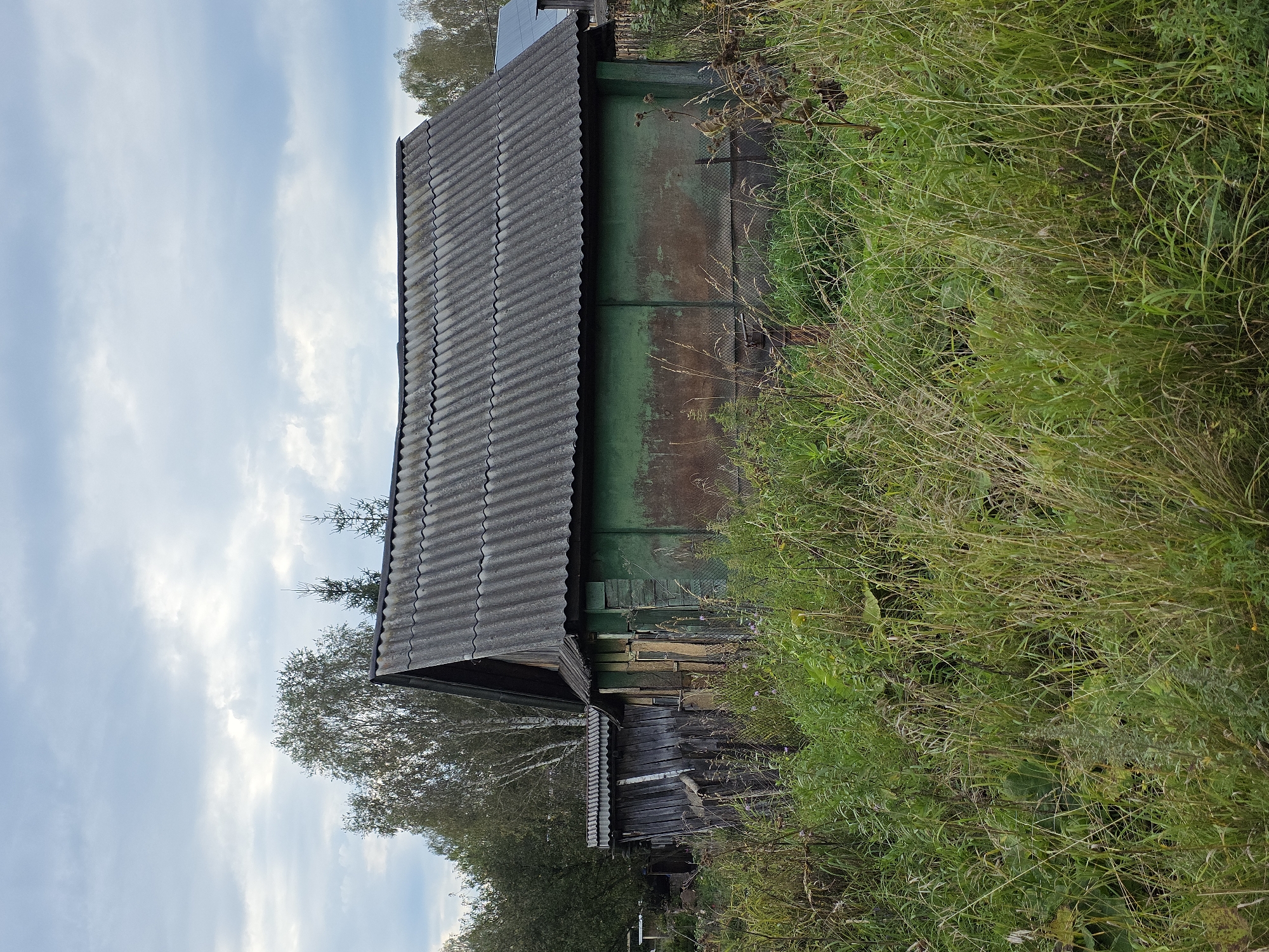The image shows a weathered, green wooden building with a corrugated gray roof. The building is partially obscured by overgrown green vegetation and tall grass in the foreground. To the left of the main building, another smaller, dilapidated structure with a similar roof is visible, also surrounded by vegetation. In the background, trees with autumn foliage can be seen, and the sky is overcast with gray clouds. The scene appears to be in a rural or semi-rural setting, possibly an abandoned or neglected property. There are no people or animals visible in the image. The overall impression is one of decay and overgrowth.