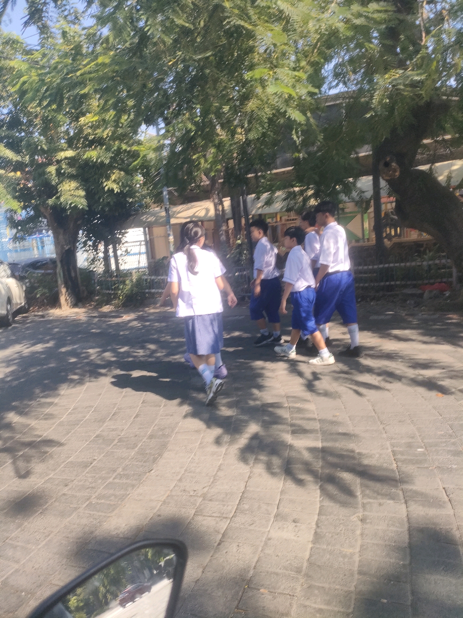 In Surabaya, Indonesia, under a bright, sunny sky, a group of five young students, four boys and one girl, walk on a paved pathway lined with trees. The girl, in the foreground and facing away from the camera, wears a white short-sleeved shirt and a blue plaid skirt, complete with white socks and sneakers. She has a ponytail. The four boys are behind her, also in uniform. They are wearing white short-sleeved shirts and blue shorts, with white socks and sneakers. They walk together in a casual manner. The environment is a public outdoor space, possibly a school or park, with trees casting shadows on the ground. The pathway is made of rectangular stone pavers. In the background, a building with a light-colored roof and a fence can be seen. A car is partially visible on the left side of the image. The overall scene depicts a normal school day in a tropical climate.