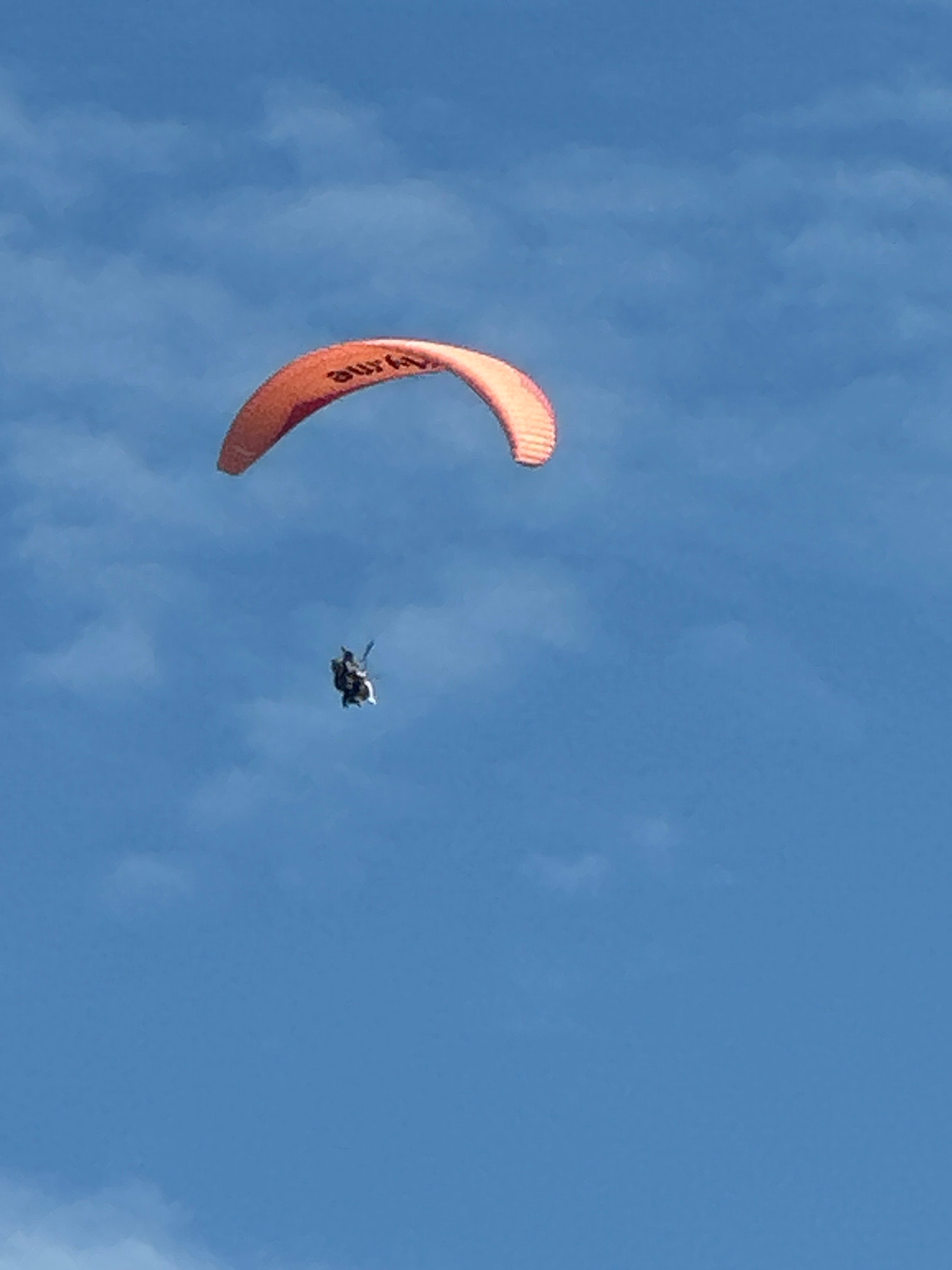 An orange paraglider with the brand name "Ozone" written on it is flying in a clear blue sky with sparse clouds. Below the paraglider, a tandem pilot and passenger are visible. The paraglider is positioned towards the top left of the image, and the tandem pair are in the center, appearing to be in descent. The image does not provide any visual cues to determine the location within Boreti, Montenegro.