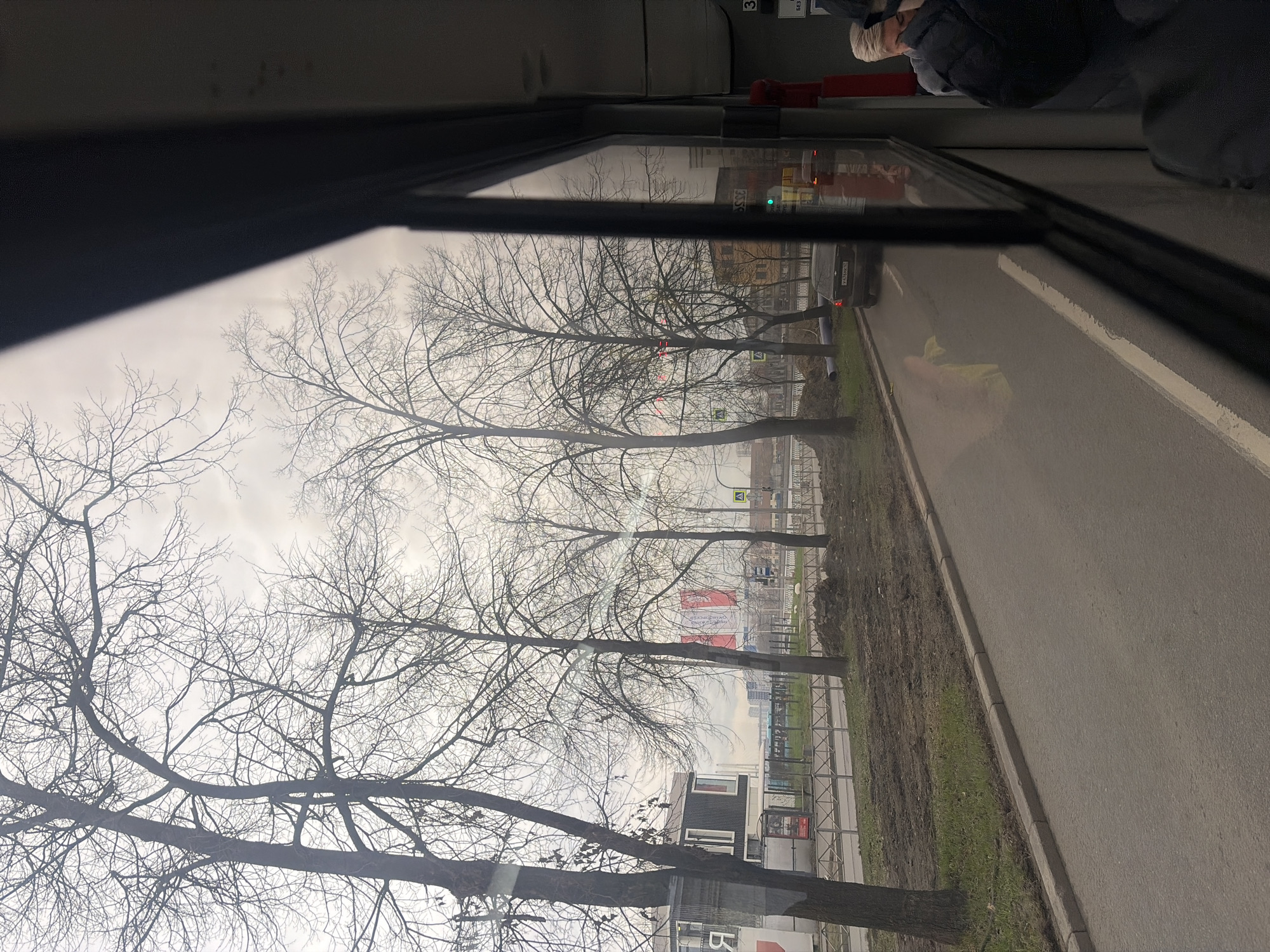The view from a bus window in Saint Petersburg, Russia reveals leafless trees lining a street with a sidewalk and roadway. The trees obscure glimpses of urban buildings and a red and white structure. Through the window, a blurred figure is visible in the bus interior, with a red handrail overhead. The sky appears overcast, suggesting a cold, potentially wintery day.
