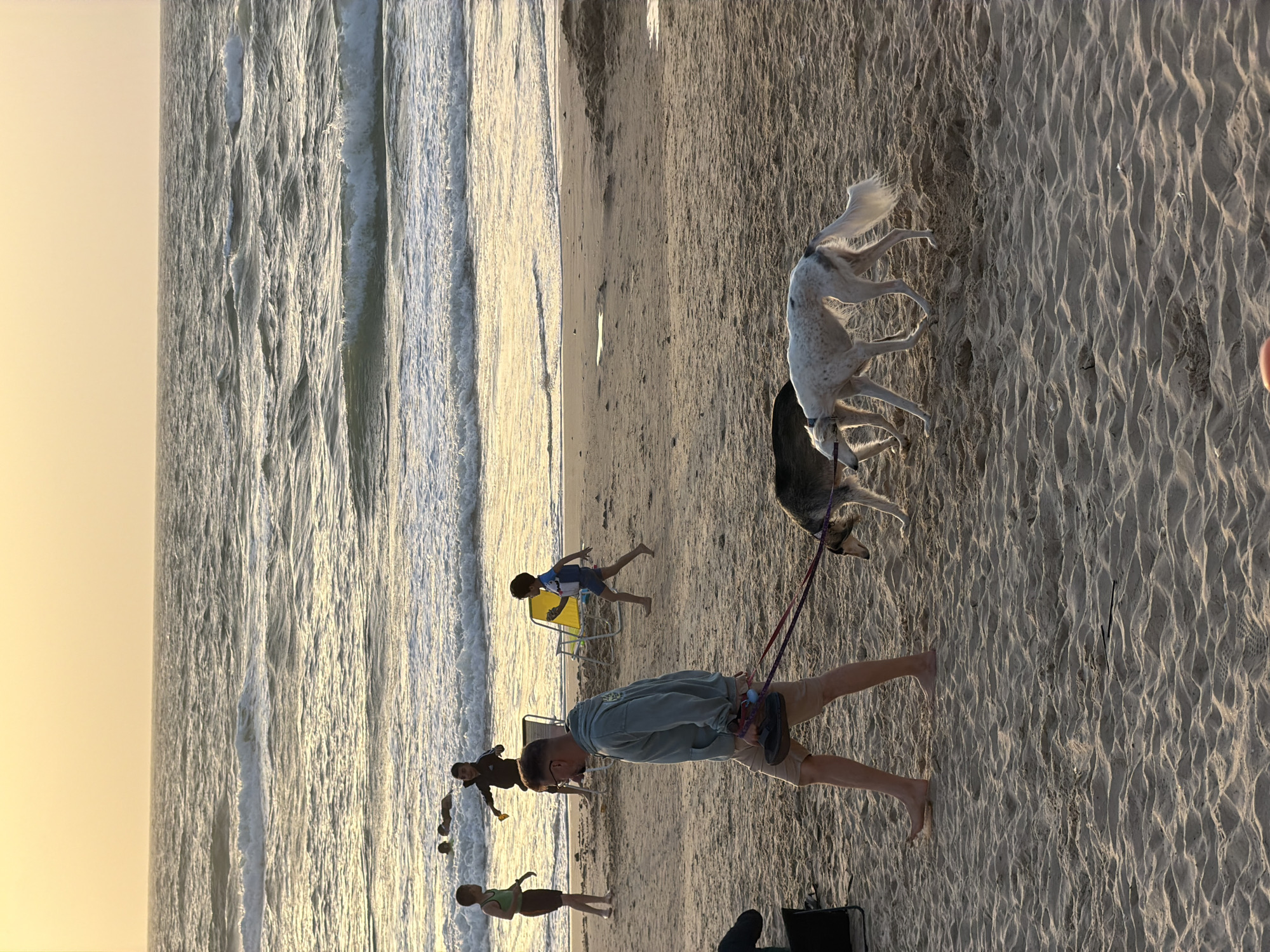The image depicts a beach scene at Tel-Aviv, Israel. The beach has fine, light-colored sand, and the waves of the Mediterranean Sea are visible on the left side of the image. The sky suggests either a sunrise or sunset.
Several people are on the beach. A man is walking on the beach, holding a dog leash, with two dogs jumping and appearing playful. Another person is walking towards the sea. There is a child running near a yellow beach chair. Two more individuals appear in the distance.