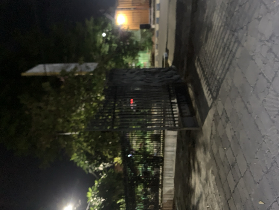 The image shows a black metal gate that is open and positioned on the left side of the frame. The gate is made of vertical bars and is in front of a white concrete wall and a small concrete curb. The gate opens to reveal a small paved area with a street to the right and a grassy area to the left. The ground in the foreground is paved with gray brick. The scene is lit by two streetlights. The image was taken at night. The location, based on the provided coordinates, is in the city of Probolinggo, Indonesia. There are no people visible in the image. The image is out of focus.