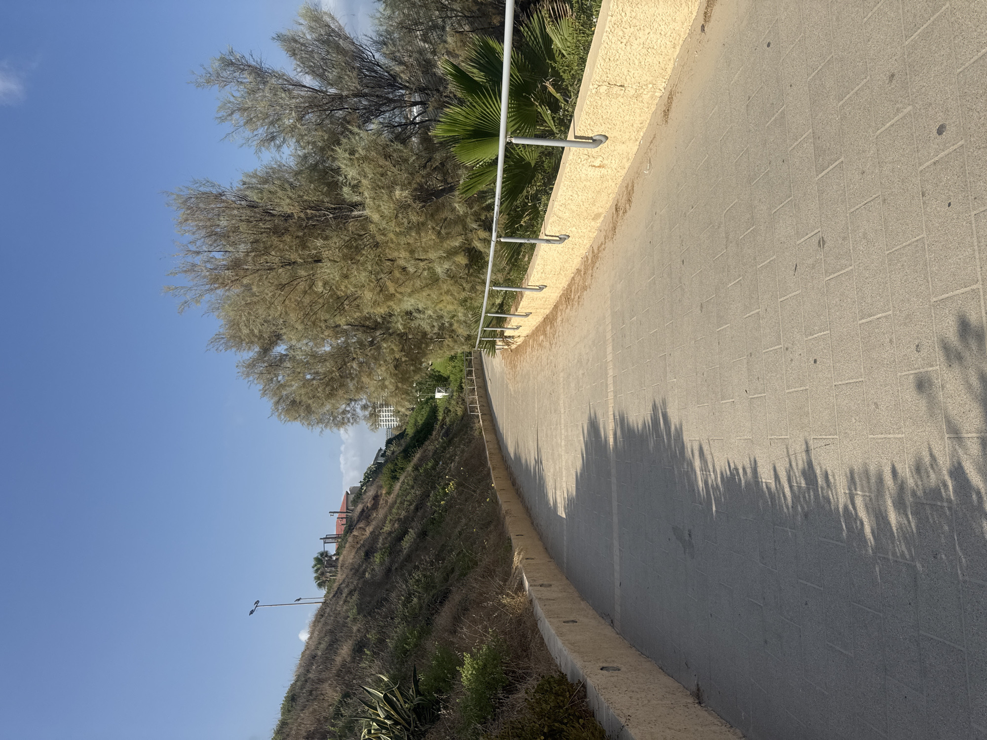 The image shows a paved pathway curving to the left, bordered by a low, textured yellow wall on the right and a grassy, sloped embankment on the left. The pathway is constructed of light-colored rectangular pavers. The embankment is covered with dry grasses and some sparse green vegetation. In the background, there are trees with feathery, light-colored foliage and a palm tree. A modern white building and some red-tiled roofs are visible on the hillside. A tall lamppost stands near the top of the embankment. The sky is clear and blue. The pathway appears to be in a public park or promenade area, likely near a coastal or elevated location, consistent with areas found in Herzliya, Israel.