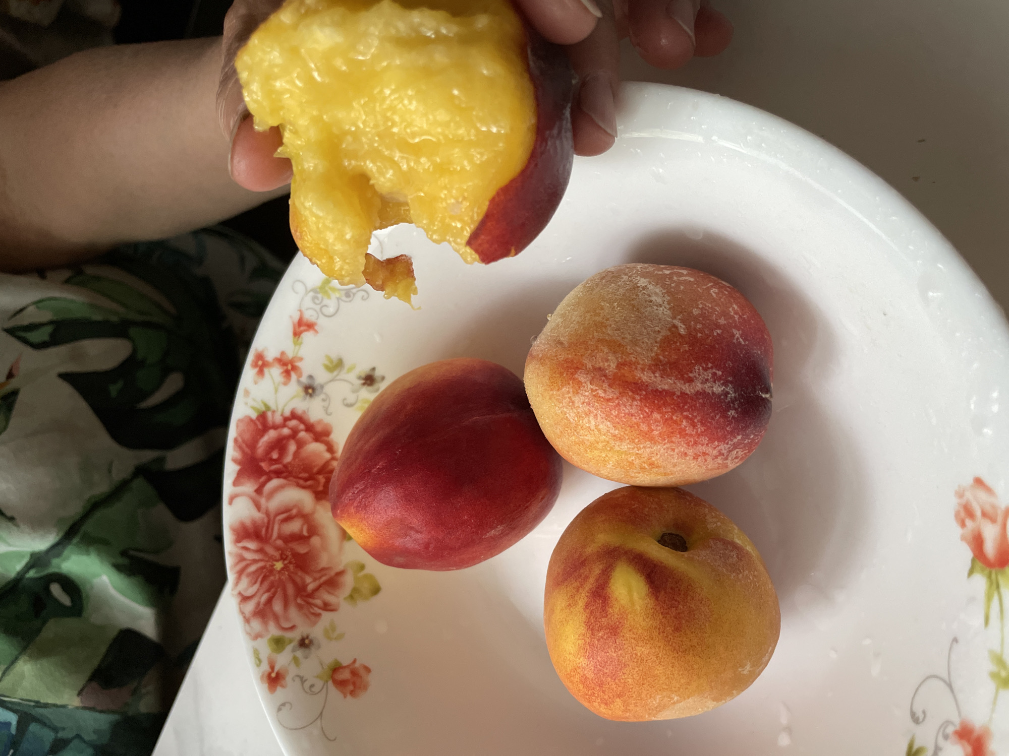 A person's hand holds a peach with a bite taken out of it over a white bowl with a floral pattern. Inside the bowl are three whole peaches. The setting is a neutral-toned interior. The location is not discernible from the image.