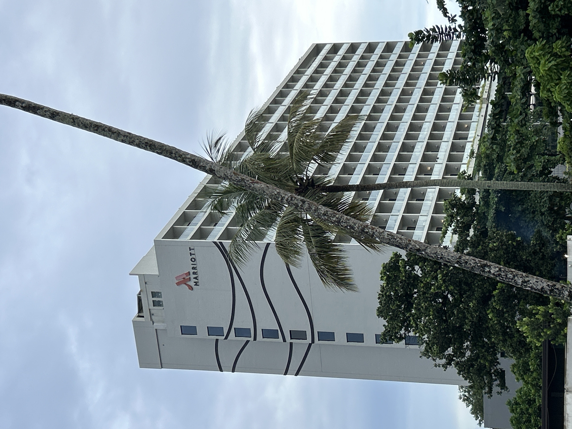 The image shows a tall, multi-story hotel building with the Marriott logo visible on its facade. The building appears to be a modern hotel with many balconies or rooms, each with glass railings. The hotel is situated in a tropical environment, as evidenced by the presence of palm trees and lush green foliage in the foreground and surrounding the building. The sky is overcast, suggesting a cloudy day. The image is taken from a low angle, looking up at the building and the palm tree trunk that dominates the right side of the frame. The location is specified as Peleana, Sri Lanka.