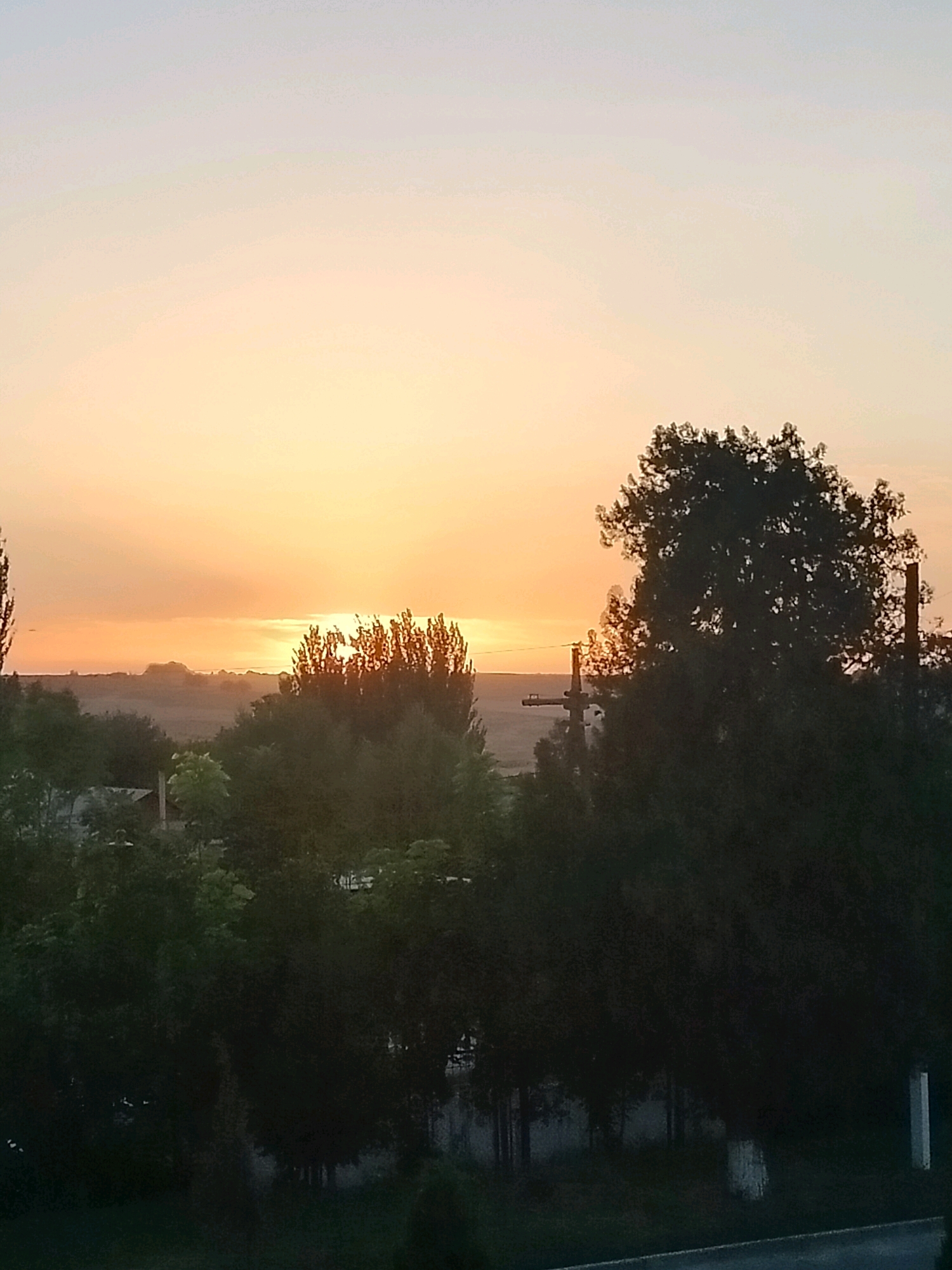 This image captures a sunset over a rural landscape, likely on the outskirts of Көлкент, Kazakhstan. The sky is a gradient of soft oranges and yellows, transitioning to a pale blue at the top. In the mid-ground, silhouetted trees and foliage create a dark, dense line. Some taller trees with distinct branching patterns are visible against the bright sky. In the foreground, the dense canopy of trees is mostly in shadow, with glimpses of structures and what appears to be a road or paved area. Power lines and poles are also visible in the distance, suggesting the presence of infrastructure. The overall impression is one of a tranquil evening in a natural or semi-rural setting.