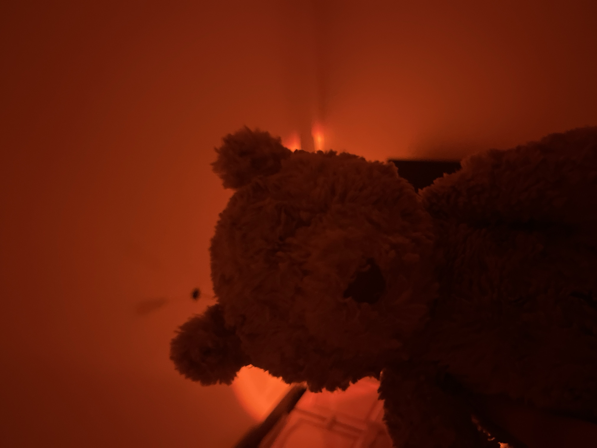 The image shows a close-up view of a brown teddy bear. The teddy bear is positioned to the right of the frame, with its head slightly tilted upwards. The background is a solid red color, with some light streaks visible near the top of the frame. A small black object is visible on the wall to the left of the bear's head. The bottom of the frame reveals a glimpse of a light orange circular shape and some indistinct, lighter colored objects. The scene is illuminated by a warm, red light, suggesting it might be nighttime or dimly lit room. Without additional context, there's no indication to suggest this photo was taken in Blagoevgrad, Bulgaria.