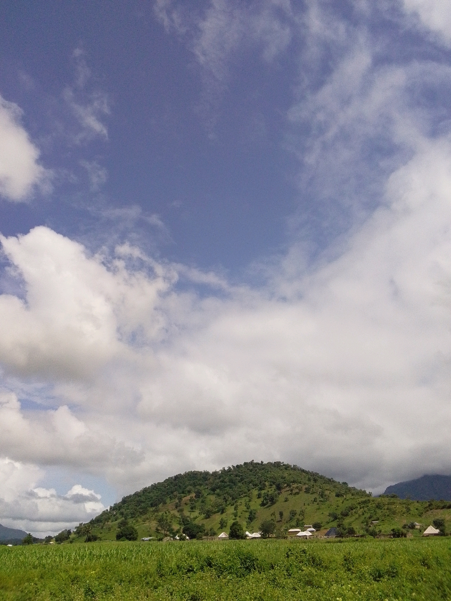 The image depicts a rural landscape with a prominent green hill covered in trees and vegetation. Several small houses with white roofs are scattered at the base of the hill and within the treeline. In the foreground, there is a lush green field, possibly a crop field, with some taller plants visible. The sky above is a mixture of blue sky and white clouds, suggesting it is daytime. The scene appears to be serene and peaceful, capturing a glimpse of rural life in the area of Serti, Nigeria. There are no people or animals visible in the image.