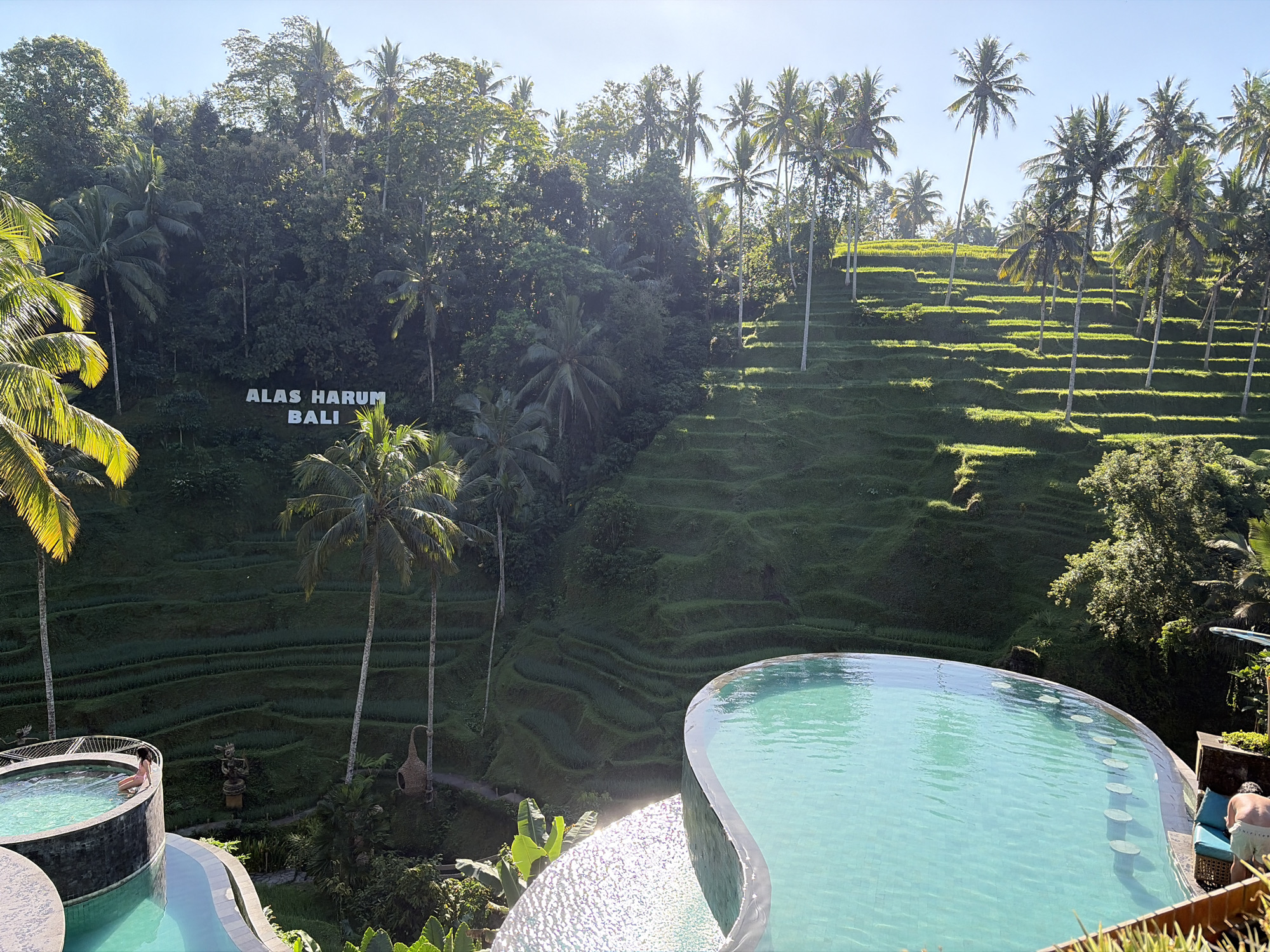 This aerial, wide-angle shot captures a lush landscape in Tegallalang, Indonesia, characterized by vibrant green rice terraces cascading down a hillside, interspersed with numerous tall palm trees. In the foreground, a large, irregularly shaped swimming pool with turquoise water occupies the lower right portion of the frame. The pool's edge is visible, and several submerged bar stools can be seen under the water's surface. To the left of this main pool, a smaller circular pool is partially visible, containing one person wearing a pink swimsuit. A second person, with their back to the camera, is seated on a lounge chair next to the main pool on the right. A white sign spelling "ALAS HARUM BALI" is mounted on the hillside amidst the dense foliage. The scene is bathed in sunlight, casting shadows across the terraces and palm trees, indicating it is daytime.