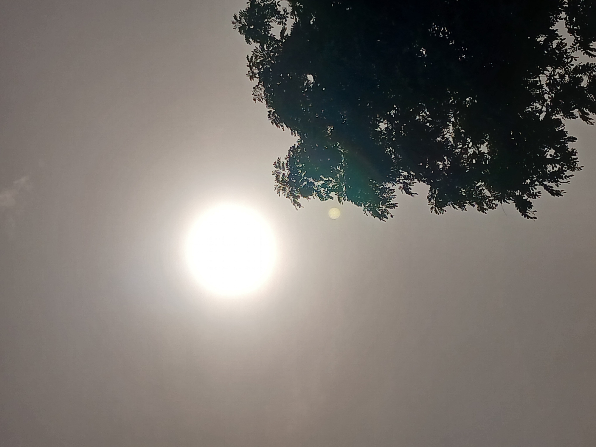 An overexposed sun, appearing as a bright white circle, dominates the upper left quadrant of the image. A silhouette of a leafy tree occupies the lower right portion of the frame, its dark foliage starkly contrasting with the pale, hazy sky. There are no people visible in the image. The scene appears to be outdoors, with the sun suggesting daylight. The location is identified as Howayi, Nigeria.