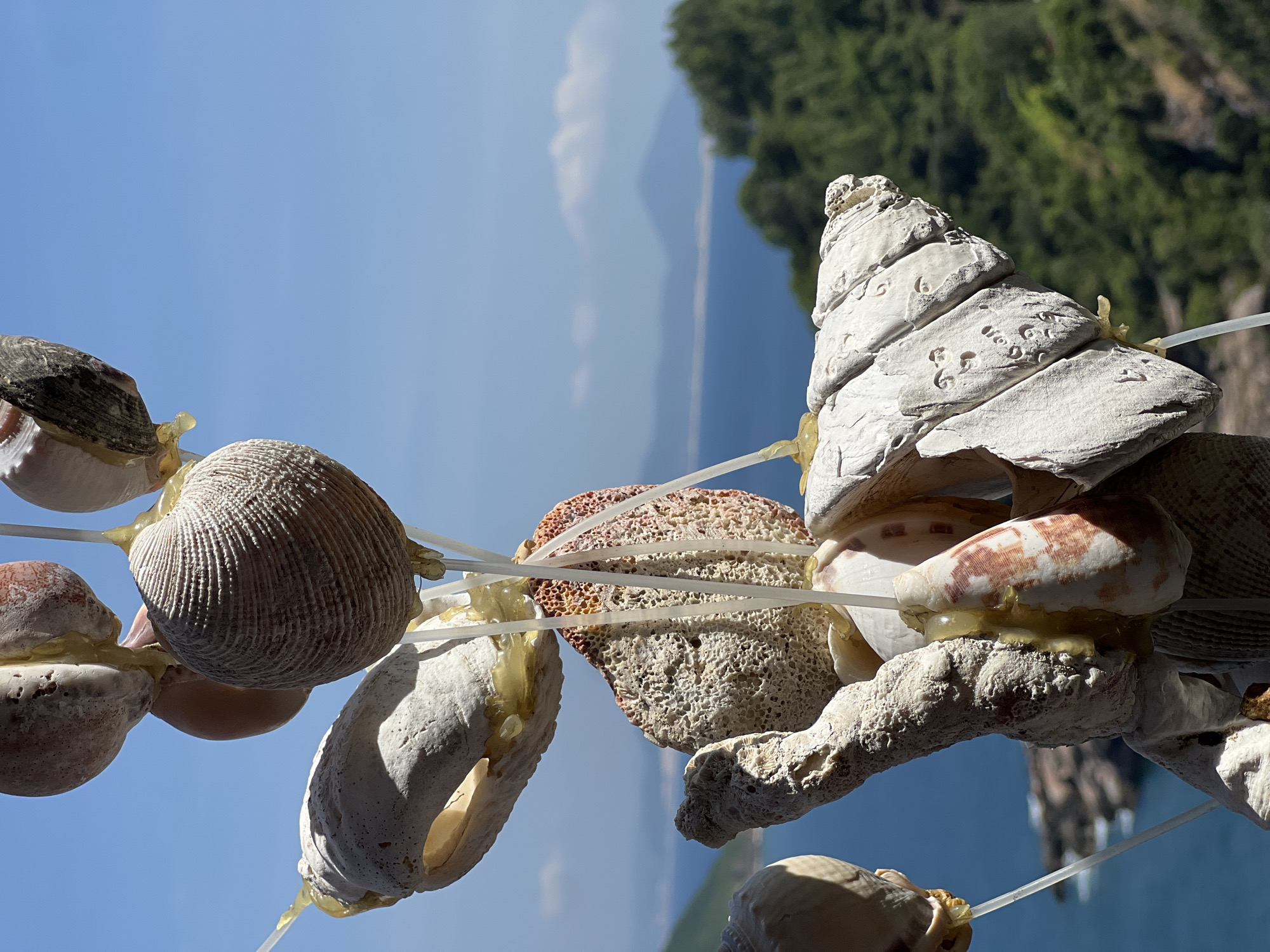 A string of seashells is suspended in front of a body of water and tree-covered mountains in the city of Hòa Xuân, Vietnam. The seashells are attached to the string with a clear, adhesive substance. The sky is blue with light clouds.