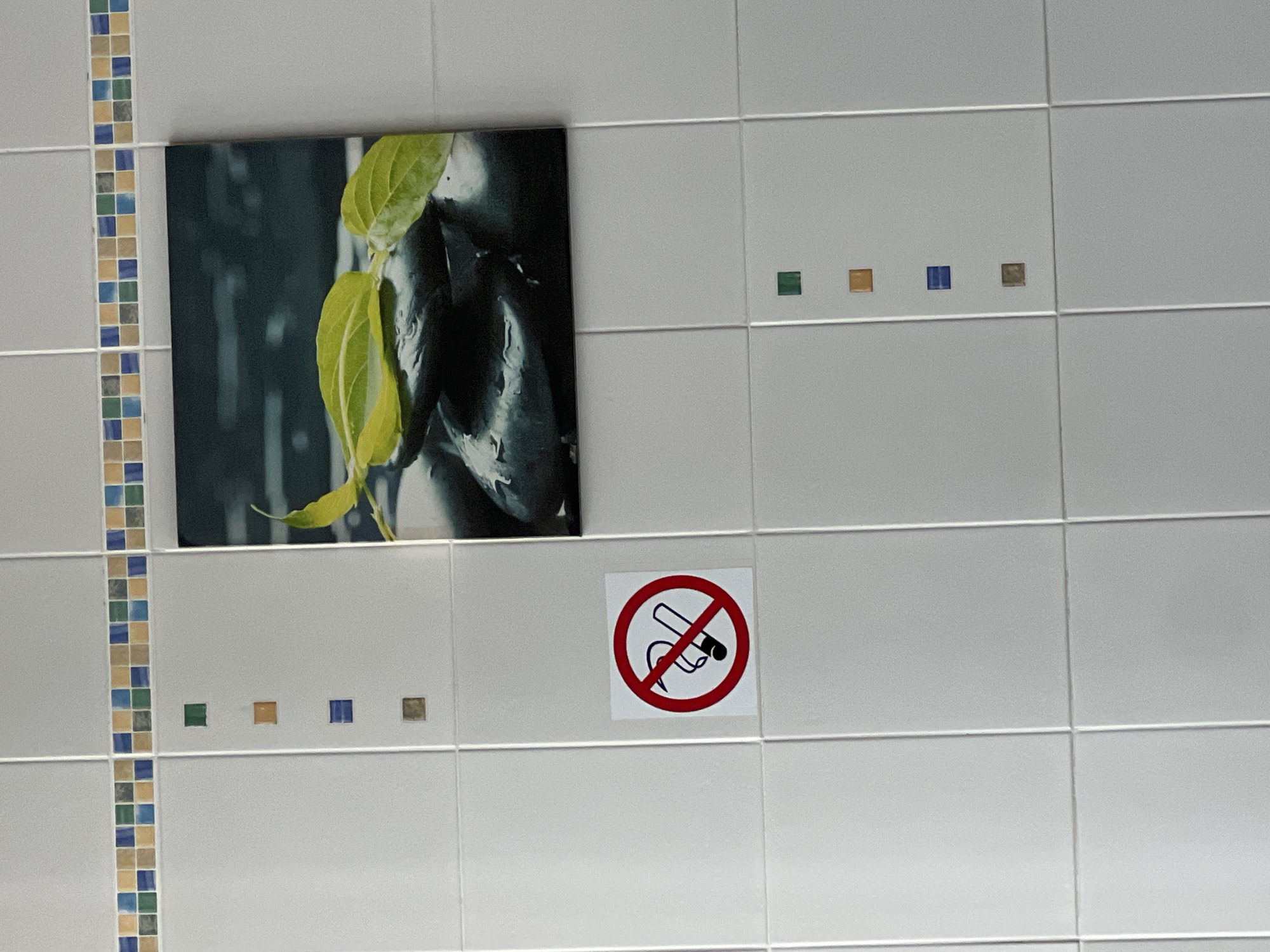 The image shows a section of a wall tiled with white square tiles. A decorative border made of smaller, colorful square tiles runs vertically along the left side of the frame. Above the white tiles, a framed picture is mounted, featuring a close-up of a dark, textured object with bright green leaves protruding from it. To the right of the picture, on the white tiles, are several small, colored square tiles, including green, orange, blue, and brown. Further to the right and slightly lower than the picture, a "No Smoking" sign is affixed to the wall. The sign is a white square with a red circle and a diagonal red line, containing a black graphic of a lit cigarette. The lighting appears to be artificial and even, suggesting an indoor environment. The overall scene depicts a wall decoration in what could be a public space, possibly a restroom or hallway, given the presence of the "No Smoking" sign. The location context of Dolgoprudny, Russia, is noted but not directly observable from the image itself.