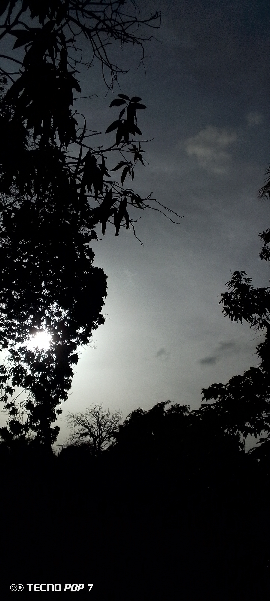 The image displays a silhouetted view of trees against a cloudy sky. The sun is visible, peeking through the leaves of a tree on the left side of the frame, creating a lens flare effect. The overall scene suggests an outdoor environment, likely a park or natural area. The bottom of the image includes a watermark that reads "TECNO POP 7". There are no people or specific actions depicted.