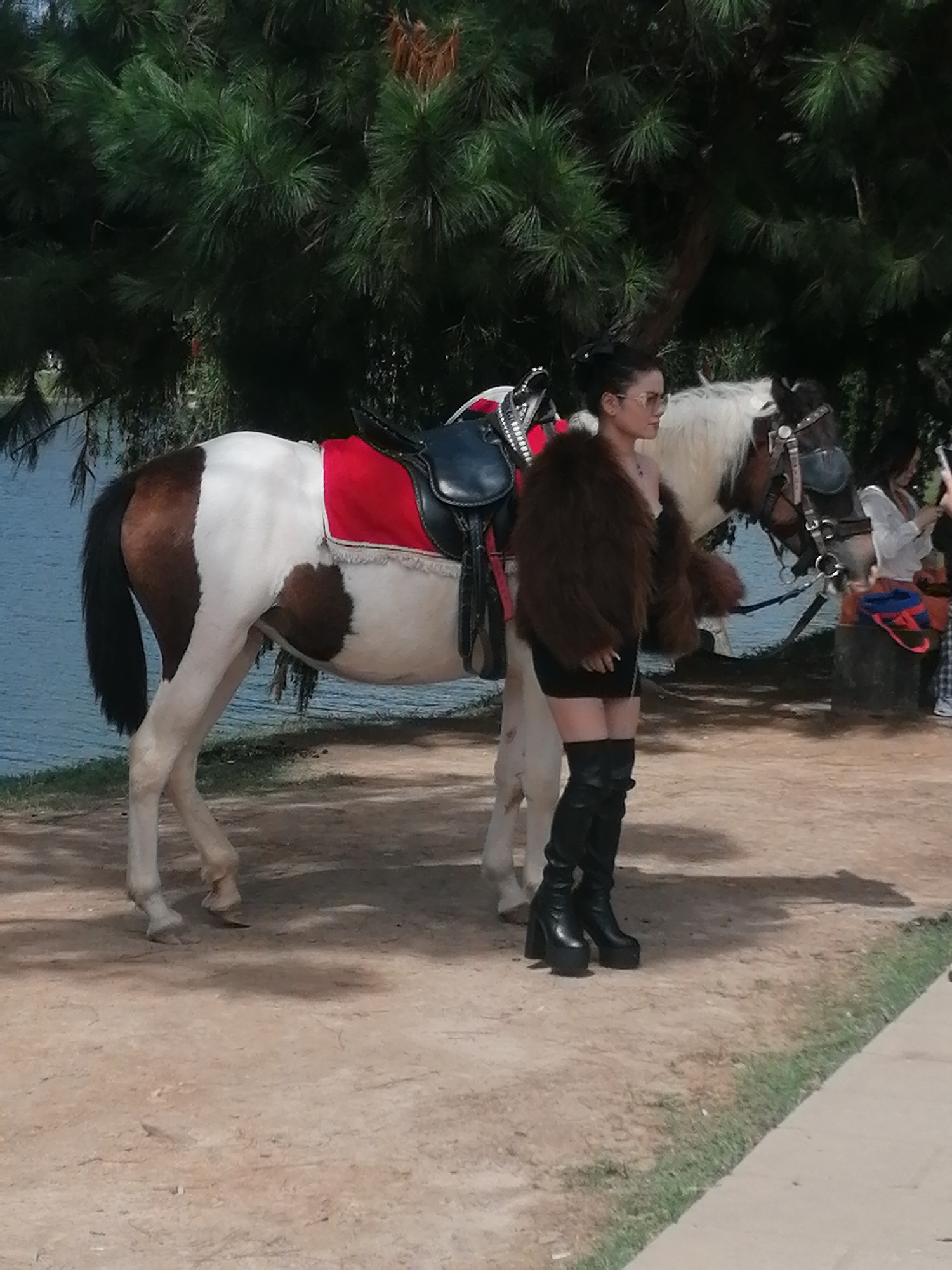 This image depicts a woman standing next to a horse in a park setting. The woman is wearing a brown fur coat, a black dress, and knee-high black platform boots. She is also wearing sunglasses and has her hair pulled back. The horse is a pinto horse with a white body and brown patches. It is wearing a saddle with a red blanket. In the background, there are pine trees, a body of water, and another person partially visible. The ground is a dirt path with some grass and a concrete walkway on the right side of the frame. The scene appears to be a tourist attraction, possibly in a park or equestrian center. The location is identified as the Da Lat Flower Park in Da Lat, Vietnam.