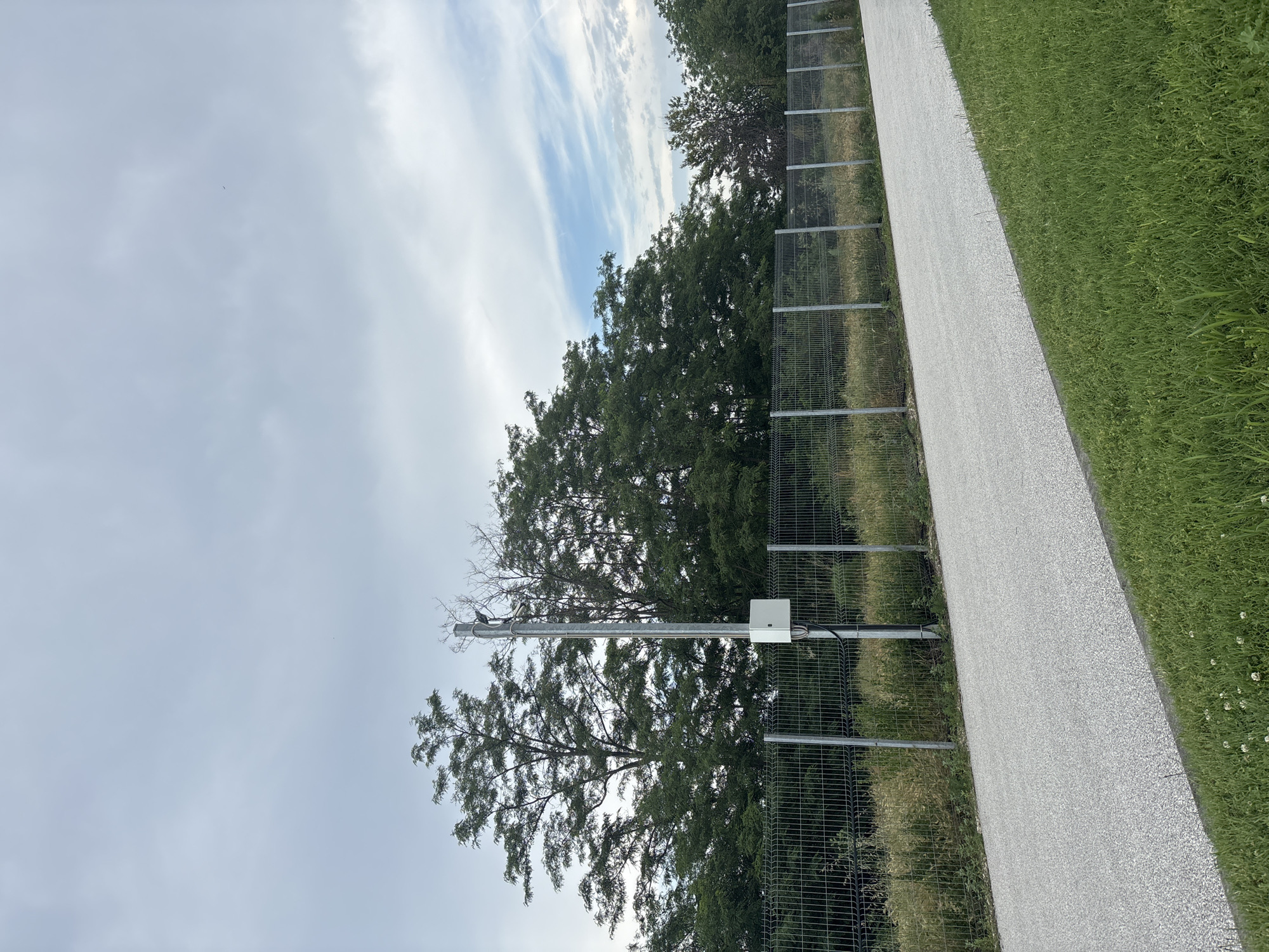A daytime outdoor scene captures a paved pathway adjacent to a natural area, likely in Stryama, Bulgaria. The sky overhead is light blue with scattered, wispy white clouds, suggesting a bright yet partially overcast day.
On the right side of the image, a light grey, granular paved path stretches diagonally from the foreground into the distance. It is bordered on its right by a strip of neatly maintained green grass, which includes small white clover-like flowers. To the left of the path, a tall, sturdy metal mesh fence with vertical posts separates the pathway from a dense line of green trees and overgrown vegetation.
A prominent feature along the fence line is a tall, slender metal pole. Mounted near the top of this pole are several dark, compact devices, likely surveillance cameras or environmental sensors. Further down the pole, a white rectangular enclosure, possibly housing electrical or control components, is attached, with wires running both up to the devices and down the pole. The trees behind the fence are full and leafy, with one tree in the foreground exhibiting some bare branches towards its upper parts.
No people are visible in the scene. The setup of the path, fence, and monitoring equipment suggests a managed outdoor space, possibly a trail, park boundary, or secured area, indicating a purpose beyond a simple natural landscape. There is no visible text on any of the objects.