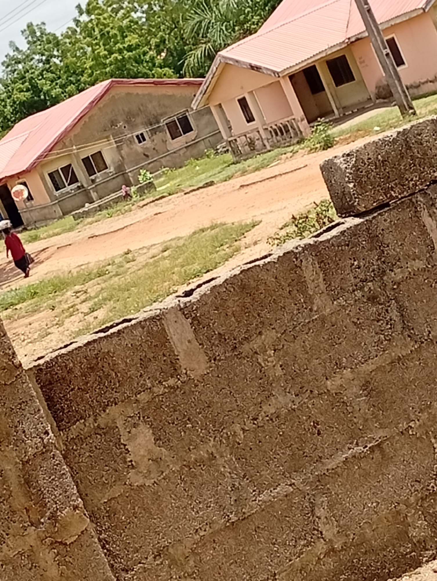 The image captures a daytime scene in Adankolo, Nigeria, viewed from behind a rough concrete block wall in the foreground. The wall, constructed from large, textured blocks, occupies the lower right portion of the frame, acting as a partial barrier to the scene beyond.
The main subjects are two single-story houses with similar architectural styles. Both feature light-colored, possibly painted, exteriors and distinctive reddish-orange corrugated metal roofs that appear relatively new or well-maintained. The house on the left is seen more fully, with multiple windows, while the house on the right is partially visible behind a utility pole. The windows are dark, suggesting either tinted glass or open panes revealing interior shadows.
A dirt path or unpaved road runs across the middle ground, separating the houses from the foreground wall. Patches of dry grass intersperse the reddish-brown earth. On this path, on the left side of the image, a person dressed in a red top and dark skirt or trousers walks away from the viewer. They are carrying a round, light-colored object, possibly a bowl or basket, balanced on their head, and appear to be carrying another item, perhaps a bag, in their left hand.
In the background, a dense canopy of green trees suggests a lush natural environment or cultivated area. The sky is visible at the top, appearing bright and possibly overcast, contributing to the diffused lighting across the scene. There is no visible text in the image. The overall impression is one of a quiet, somewhat rural or peri-urban residential area under a bright, possibly cloudy, sky.
