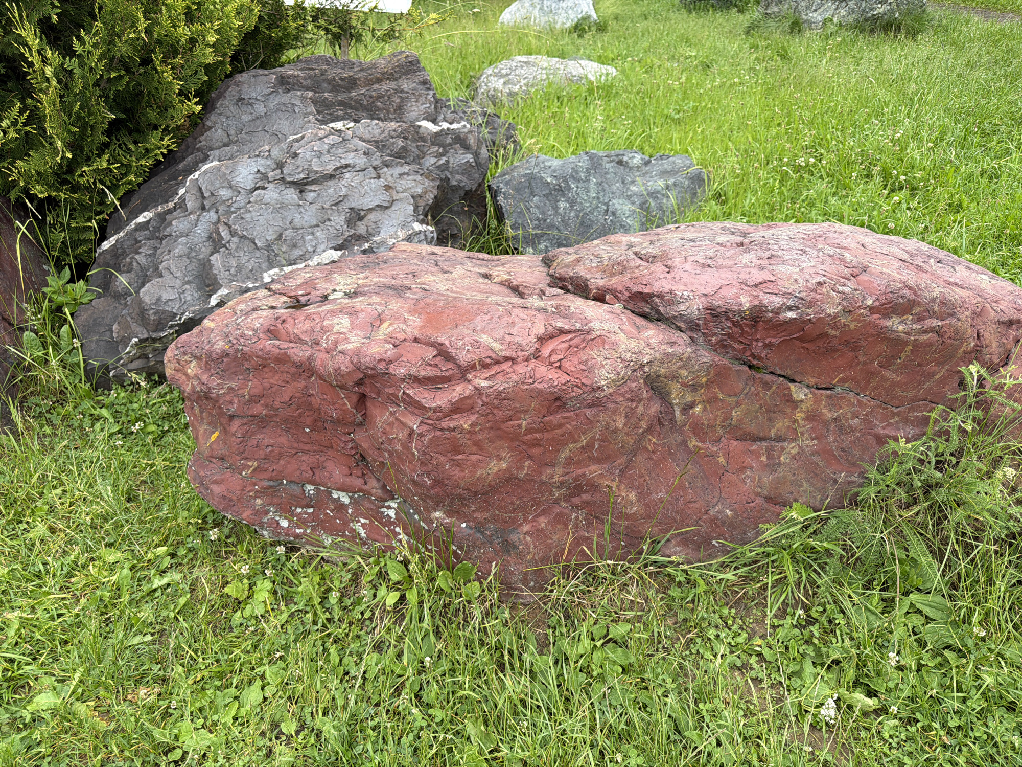 A red boulder rests in the grass in Akatovo, Russia. The boulder is roughly spherical and appears to be made of sandstone. It is surrounded by green grass and a few small white flowers. In the background, there are more boulders and a large green bush. The sky is not visible in the image.