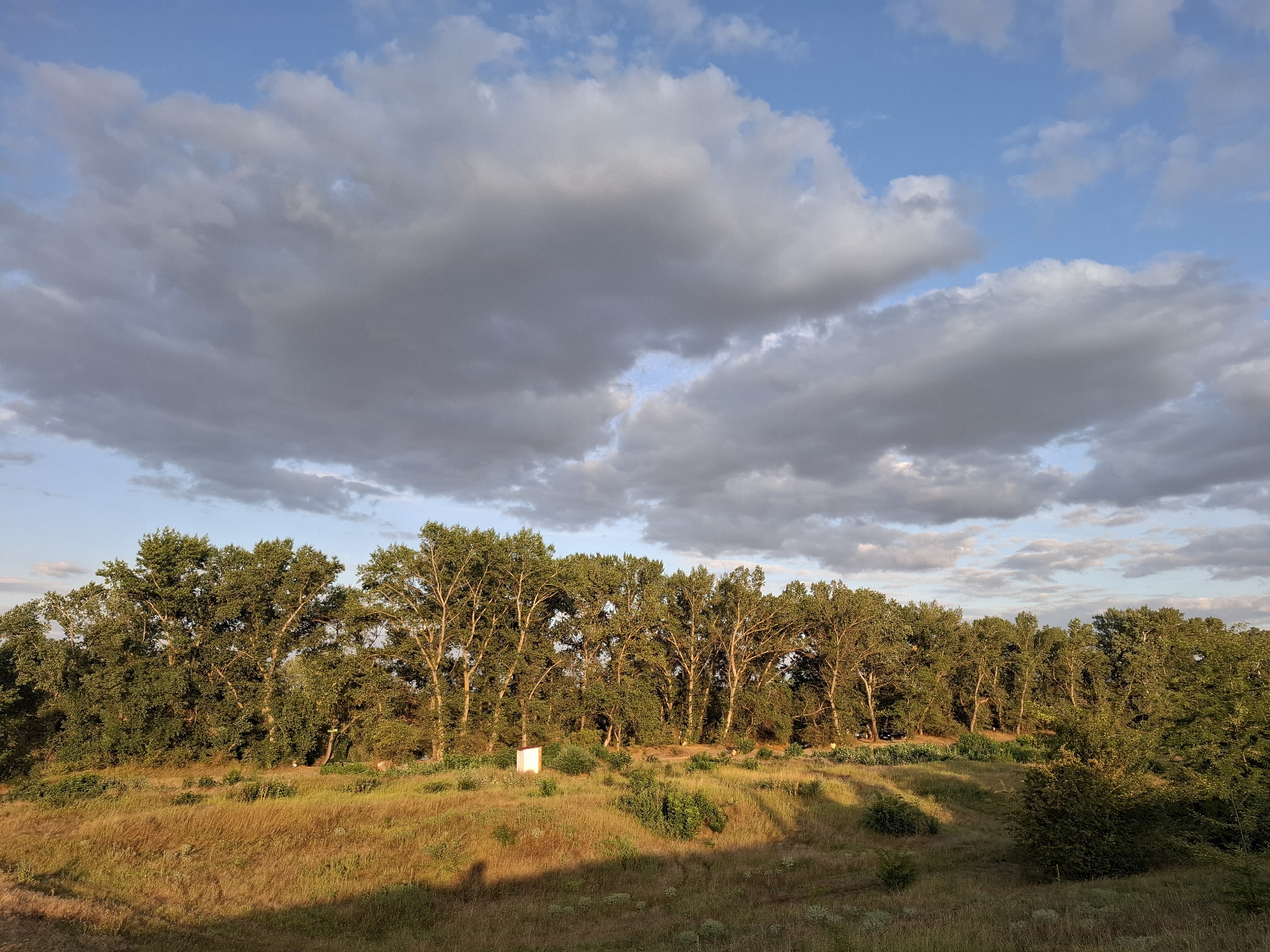 The image depicts a natural landscape with a treeline against a sky filled with clouds. The foreground consists of a grassy hill illuminated by sunlight, casting long shadows. In the midground, a dense line of tall deciduous trees with lush green foliage forms a natural barrier. A small, white, rectangular structure, possibly a utility box or a marker, is visible in the middle of the treeline. The sky above features a mix of blue sky and large, gray, textured clouds, suggesting a partly cloudy day. The overall scene is one of a rural or natural setting. The location is identified as Dubăsarii Vechi, Moldova.