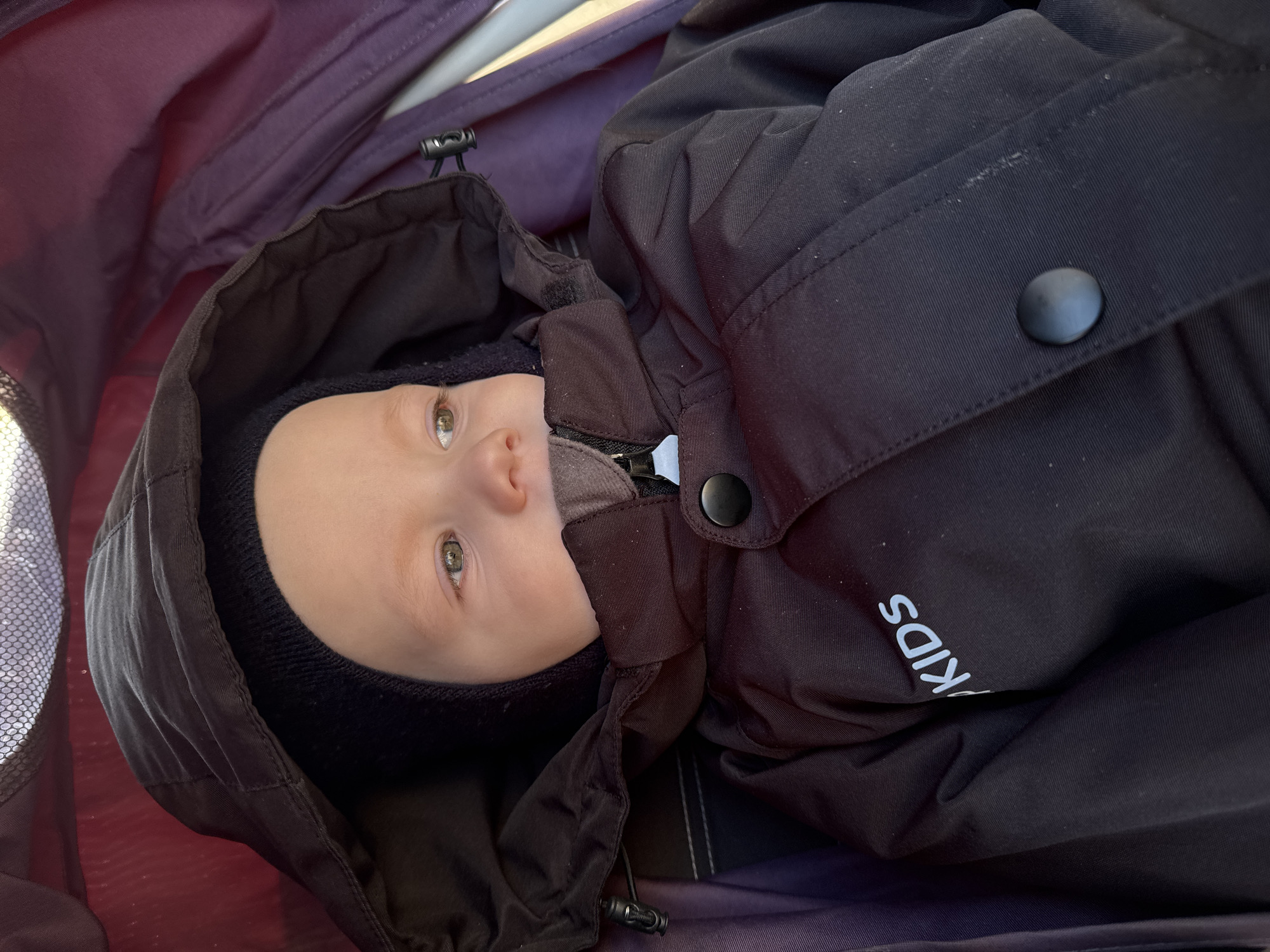 A baby wearing a black balaclava and a black winter jacket with the word "KIDS" printed on it lies in a purple stroller. The location is unidentified and unknown.