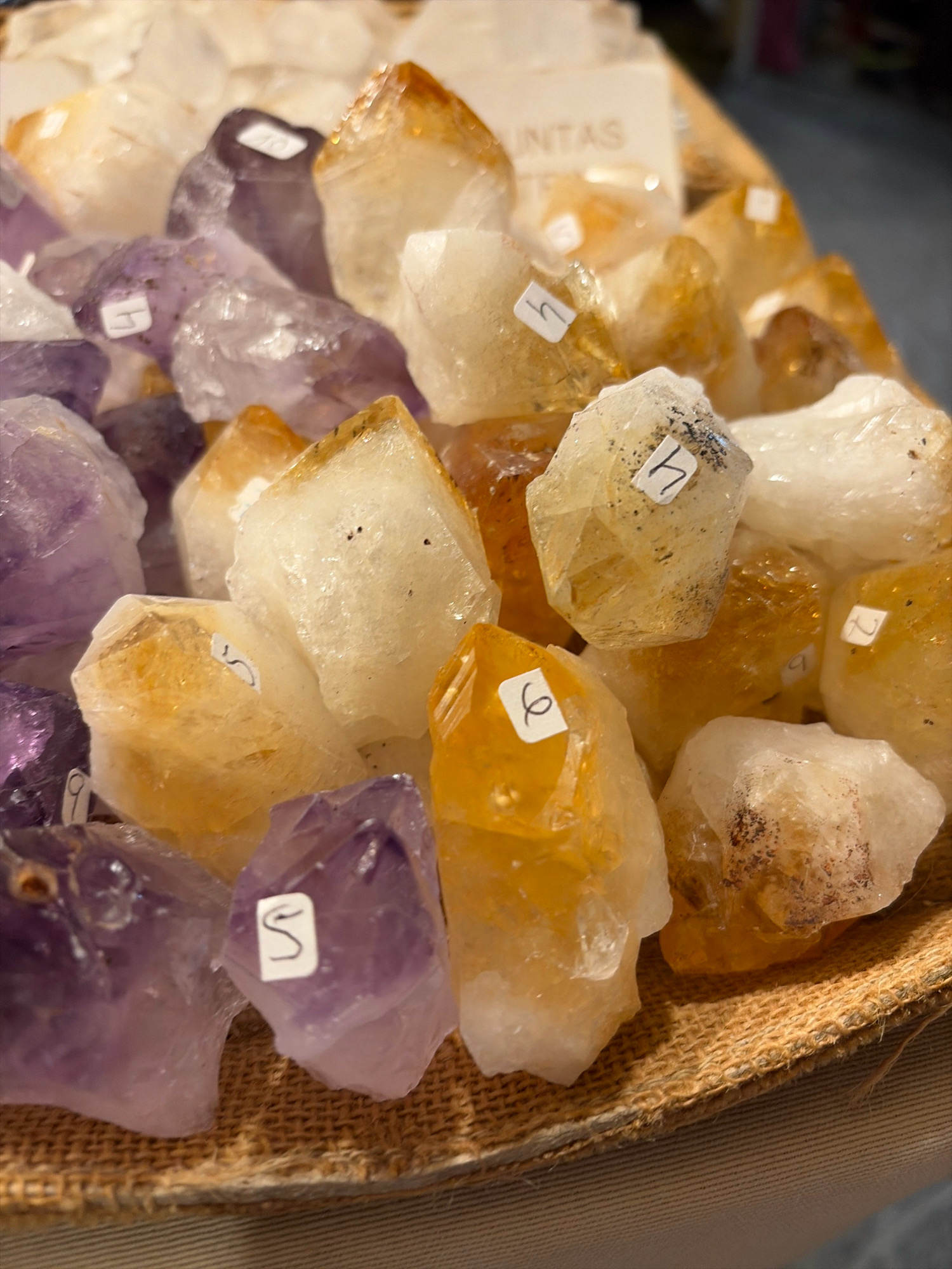 A close-up, eye-level shot captures a woven basket filled with raw, uncut amethyst and citrine crystals. The crystals are predominantly purple and yellow-orange, with some exhibiting a clear or milky white hue. Several crystals have small, white paper tags affixed to them, each bearing a number or letter, suggesting they are for sale or identification. A partial view of a wooden sign with the word "UINTAS" is visible in the background, possibly indicating a vendor or a brand name. The lighting is soft, highlighting the natural facets and textures of the crystals. The setting appears to be a market stall or shop, with the basket resting on a surface covered with a tan fabric. Given the presence of a sign with "UINTAS", which is a recognized company selling crystals, this scene likely originates from a crystal shop or a fair where such items are sold. The city of Salou, Spain, is known for its tourist attractions and markets, making it a plausible location for such a display.