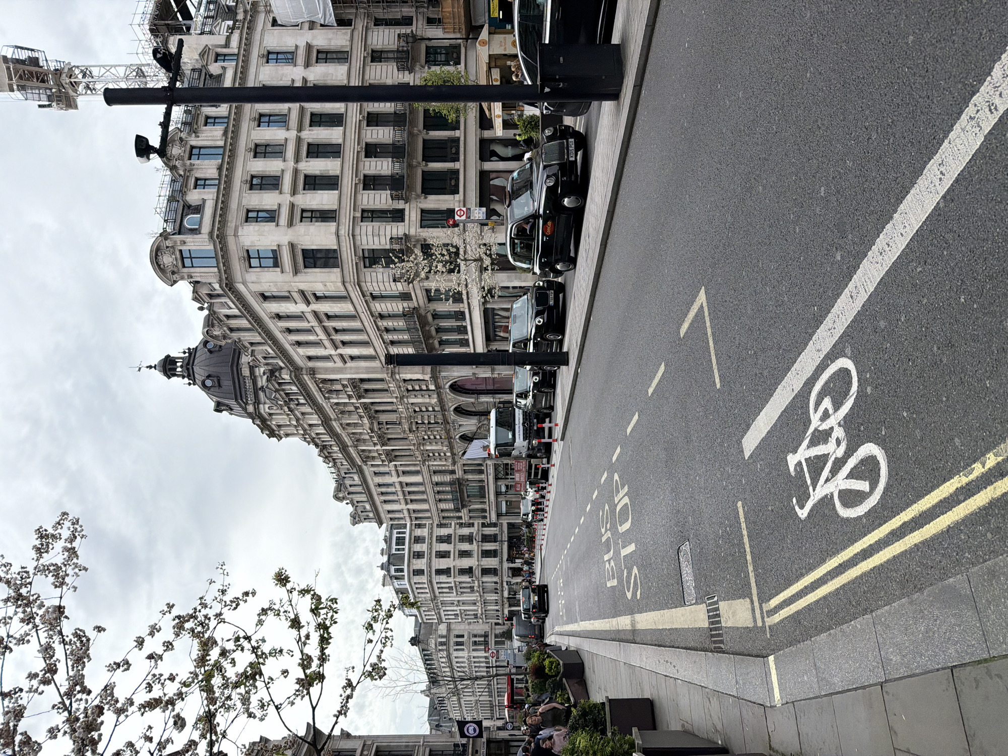 The image shows a street scene in London, United Kingdom. A row of black taxis is parked along the curb on the right side of the street. The road markings indicate a bus stop with a bicycle lane next to it. A large, ornate building with multiple stories dominates the left side of the frame, under construction as visible in the upper left. Trees with blossoming branches appear in the foreground. Pedestrians are visible in the mid-ground, some sitting on benches near planters. The sky is overcast.