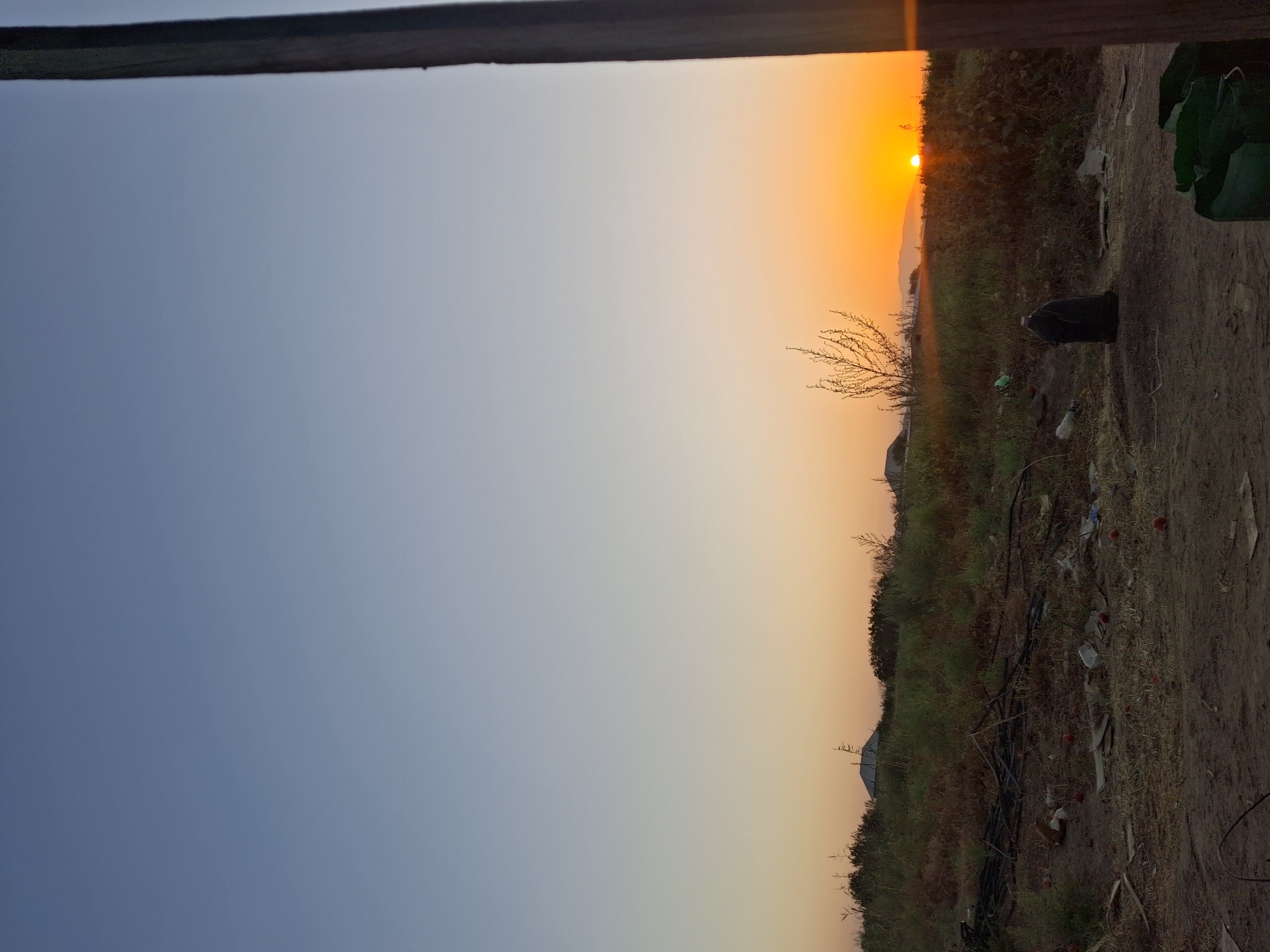 The image depicts a rural scene at sunset, likely in the outskirts of Utmayli, Uzbekistan. The sky transitions from a clear blue at the top to warm orange and yellow hues near the horizon, indicating either sunrise or sunset. In the mid-ground, a field of dry grass and scattered debris, including plastic bags and what appear to be red fruits, lies in front of a line of low-lying green vegetation. Beyond the vegetation, several structures with peaked roofs, characteristic of rural housing, are visible. A sparse, leafless tree stands out against the colorful sky. The foreground is predominantly dirt and dry grass, with a large black plastic bag or container, a green plastic container, and various other pieces of litter scattered around. A wooden post is visible on the far right side of the image, framing the scene. The overall impression is one of an undeveloped, possibly neglected, rural area bathed in the warm light of the setting sun. There are no people visible in the image.