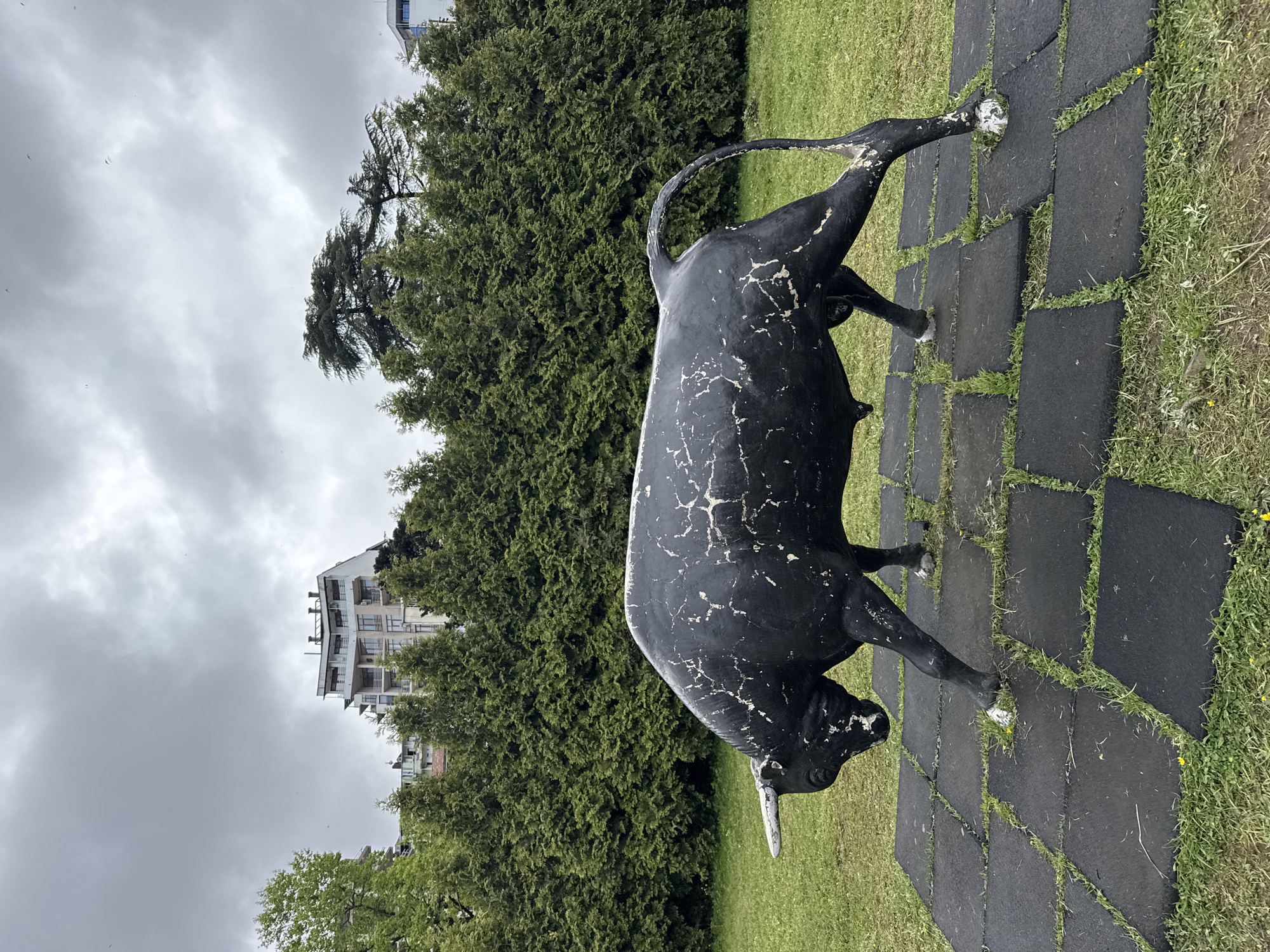 A bronze-colored bull statue stands on a paved path in an outdoor setting in Unknown, Unknown. The statue appears weathered, with areas of chipping or discoloration. The bull's horns are a lighter color, possibly white or cream. The path is made of square dark gray/black pavers with grass growing between them. Behind the statue are dense green trees, and further in the background is a multi-story building with a light-colored facade. The sky is overcast and gray. The photo seems to be taken during the daytime.