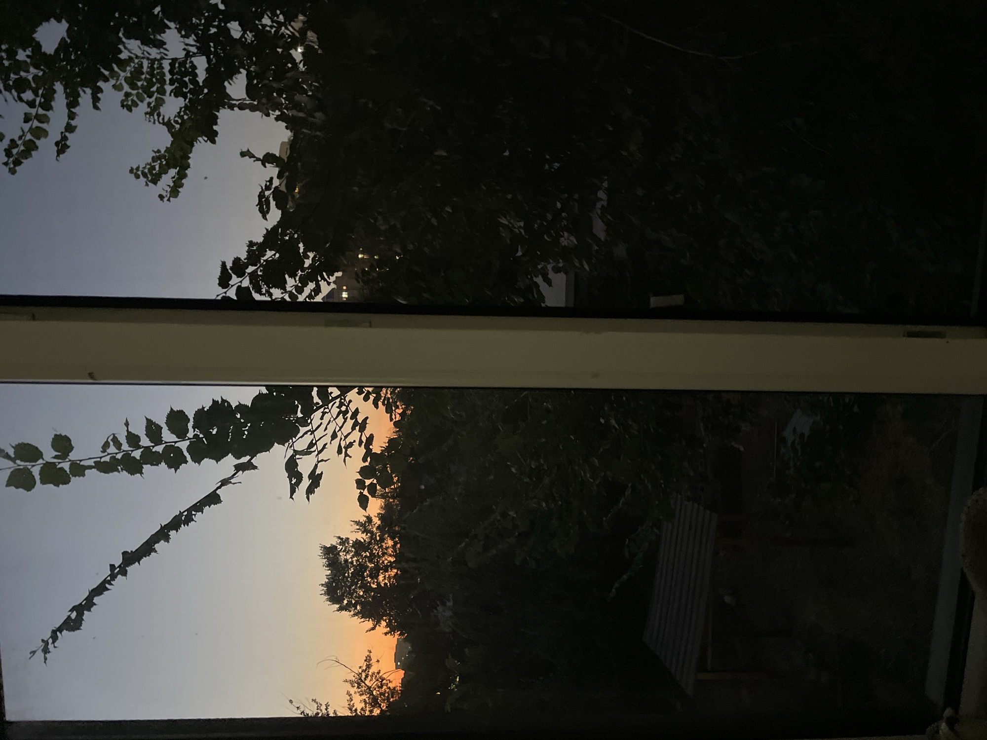 The image shows a view through a window of a dusky sky with trees and buildings in the background. On the left side of the window frame, a silhouette of a tree branch with leaves extends across the sky. The sky transitions from a pale orange at the horizon to a deep blue. Below the sky, dense foliage of trees obscures the ground. A small, dark structure resembling a gazebo or shelter with a sloped roof is visible in the lower left portion of the scene. In the distance, faint lights suggest buildings in a city. The overall scene depicts an urban or suburban environment at dusk, potentially in Almaty, Kazakhstan, given the prompt's constraint.