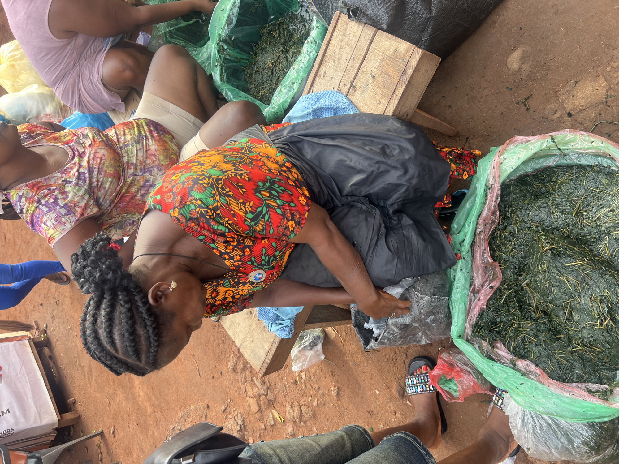 The image captures an overhead view of an outdoor market scene in Nkpor, Nigeria, featuring several individuals and large quantities of leafy green vegetables.
In the center, a woman with braided hair styled in cornrows, wearing a vibrant orange, red, and green patterned top, leans forward. Her arms are visible as she interacts with goods, possibly arranging produce or serving a customer. A black skirt or wrapper covers her lower body. To her upper left, another woman in a light pink sleeveless top and light-colored shorts is partially visible, also engaged with market items. Another person's legs, wearing blue jeans and black sandals with colorful beaded straps, are seen in the lower right, standing near large bags of vegetables. Other individuals' legs and clothing are partially visible throughout the frame, indicating a populated market space.
The primary objects are large green plastic bags filled with dark green, possibly bitter leaf, vegetables. These bags are spread across the reddish-brown dirt ground, typical of open-air markets. A wooden crate or pallet is positioned to the right of the central woman, and various other plastic bags (yellow, black, clear, red) are scattered around, likely containing other market goods. The scene is brightly lit by natural daylight, suggesting a sunny day.
A white cardboard box in the lower-left corner shows partially visible text, including "MM" and "NERS ASSY." The overall activity depicts a bustling marketplace where produce is bought and sold.