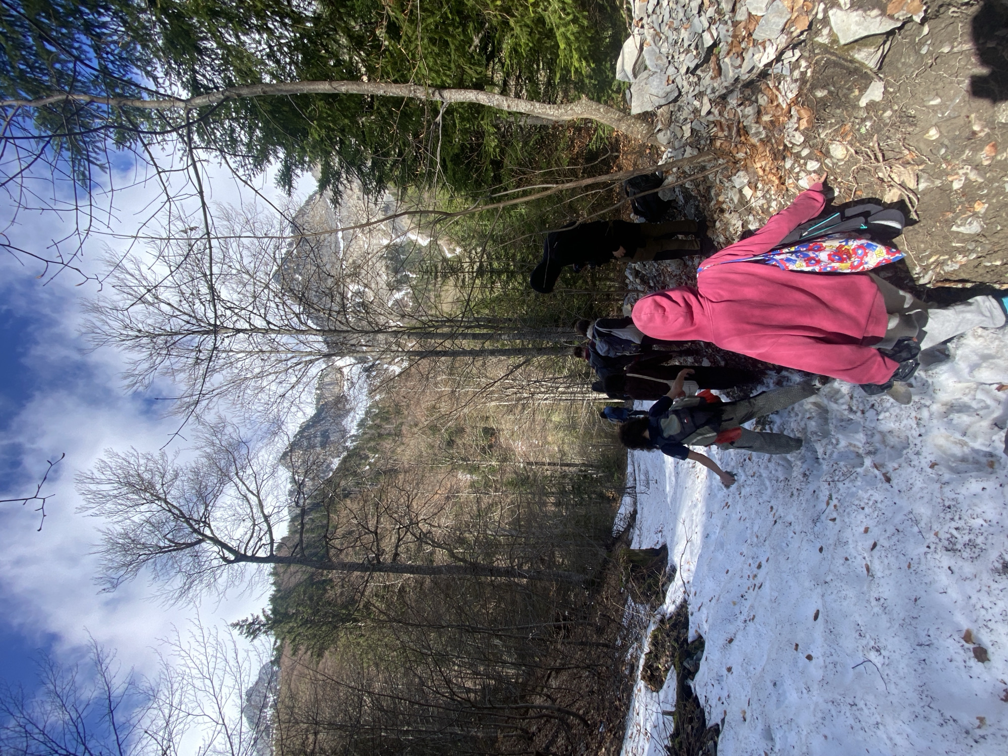 The image depicts a group of people hiking on a trail in a mountainous area near Saint-Michel-les-Portes, France. Patches of snow cover the ground. The hikers are walking along a path bordered by trees and rocky terrain. The landscape includes bare trees, evergreen trees, and distant mountains. One individual in a pink hooded jacket is visible.