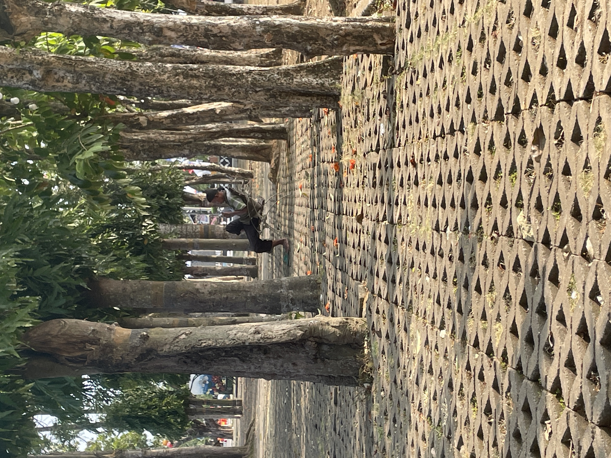 A person sits on a bench in a park in Purworejo, Indonesia, surrounded by trees. The ground is paved with interlocking concrete blocks. The person is wearing a green shirt and dark pants and appears to be looking at something in their hands. The scene is lit by the sun, casting shadows on the ground. There are fallen orange leaves scattered on the paving stones.