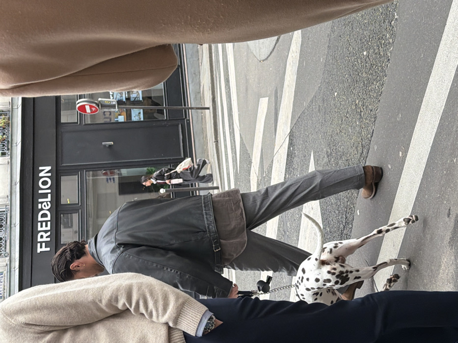An urban street scene unfolds in daylight, specifically outside the "FRED & LION" store at 34 Rue de Turbigo, 75003 Paris, France.
In the mid-ground, a male subject, viewed from behind, walks right. He has dark, slicked-back hair and wears a dark grey leather jacket over a brown undershirt, grey trousers, and brown cowboy-style boots. He holds a black leash connected to a white Dalmatian dog with black spots, which walks ahead and to his left on the asphalt road. The dog's tail is elevated. White pedestrian crosswalk lines are visible on the asphalt surface.
In the immediate foreground, partial views of two other individuals are present: on the left, a person wearing a beige knitted sweater and navy trousers, with a patterned shirt cuff visible; on the right, a person in a tan-colored coat. Both appear to be in motion.
In the background, on the opposite side of the street, a female subject walks left. She wears glasses, a dark jacket, dark wide-leg trousers, and carries a white tote bag containing a pink object. A red circular "No Entry" traffic sign is mounted on a pole near the storefront. The "FRED & LION" storefront features a black facade with prominent white lettering and several glass windows. Above the store, a classic Parisian building structure with windows and subtle architectural details is visible.