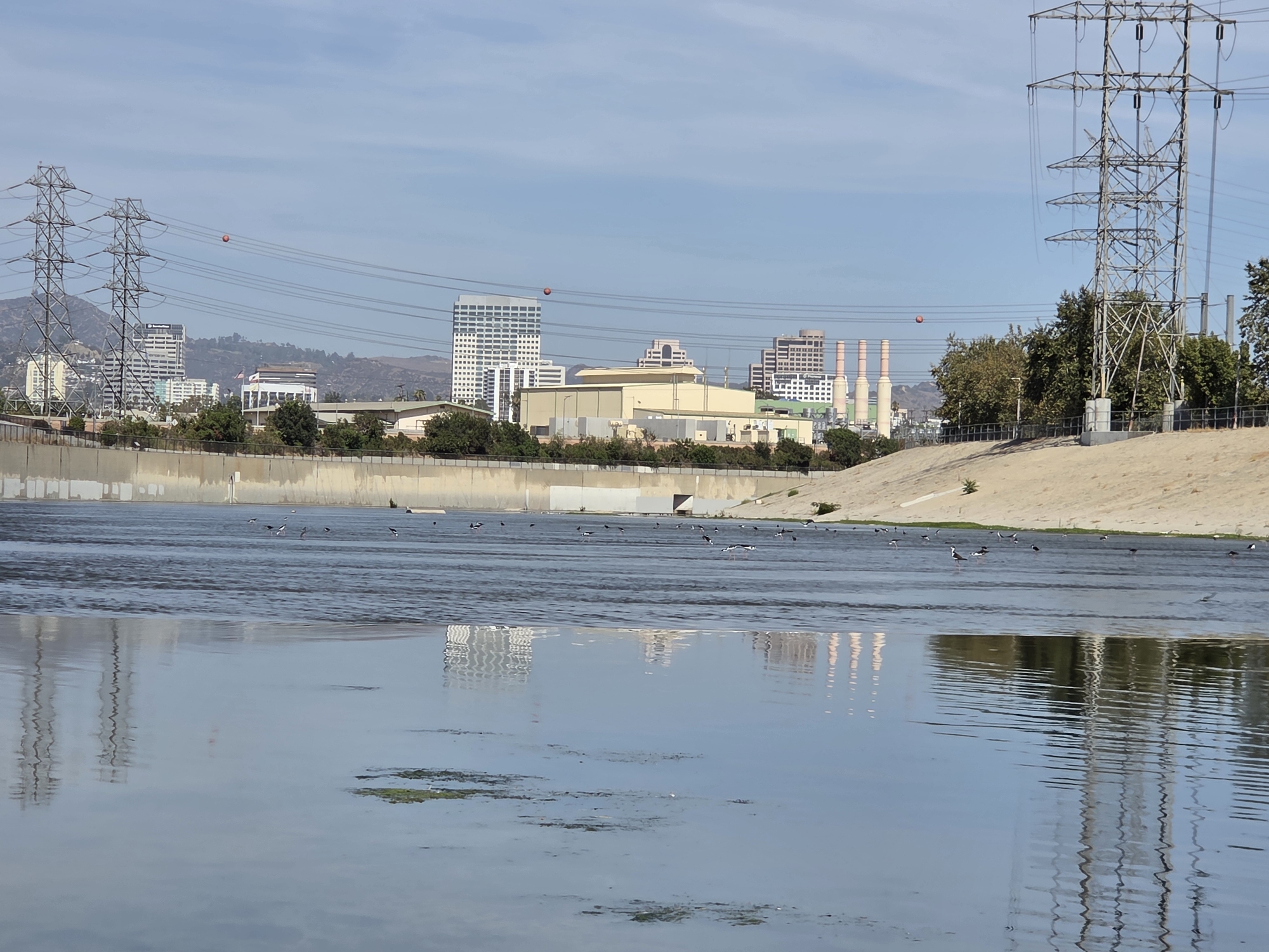 The image shows a wide, concrete-lined river channel with a body of water flowing through it. The riverbanks are steep and covered with sandy soil on the right side and a concrete wall on the left. A flock of birds is scattered across the water, with some wading near the shore. In the background, a city skyline rises above trees and industrial buildings. Prominent features of the skyline include tall, modern buildings and several industrial smokestacks. Large, towering electrical transmission towers with multiple wires are visible on both the left and right sides of the image, indicating the presence of significant power infrastructure. The sky is clear and blue. The reflection of the buildings and power towers is visible on the surface of the water. The scene appears to be the Los Angeles River in the city of Los Angeles, California, USA.