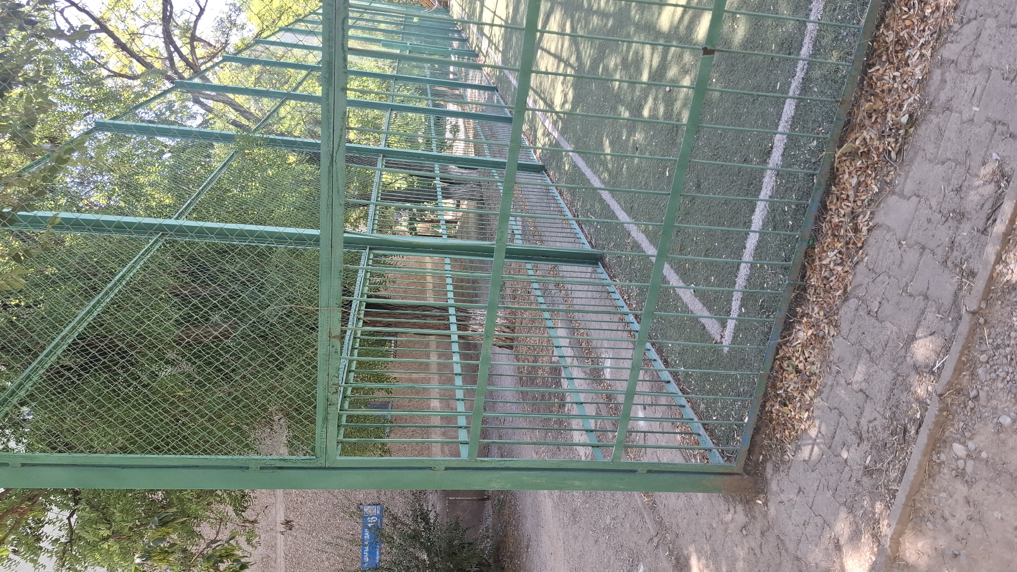 The image shows a green metal fence surrounding an outdoor sports field. The field appears to be covered in artificial turf with white lines marking boundaries. Trees and foliage are visible behind the fence, suggesting an outdoor setting. In the background, part of a building is visible, along with a street sign that reads "ШАГЫБАЙ А. ДАН" and the number "15". This street sign and the architectural style of the building indicate the location is likely Shymkent, Kazakhstan. The ground in front of the fence is paved with interlocking stones and dirt, with fallen leaves scattered on the ground. The scene is brightly lit by sunlight, casting shadows from the fence and trees onto the field. There are no people or animals visible in the image.