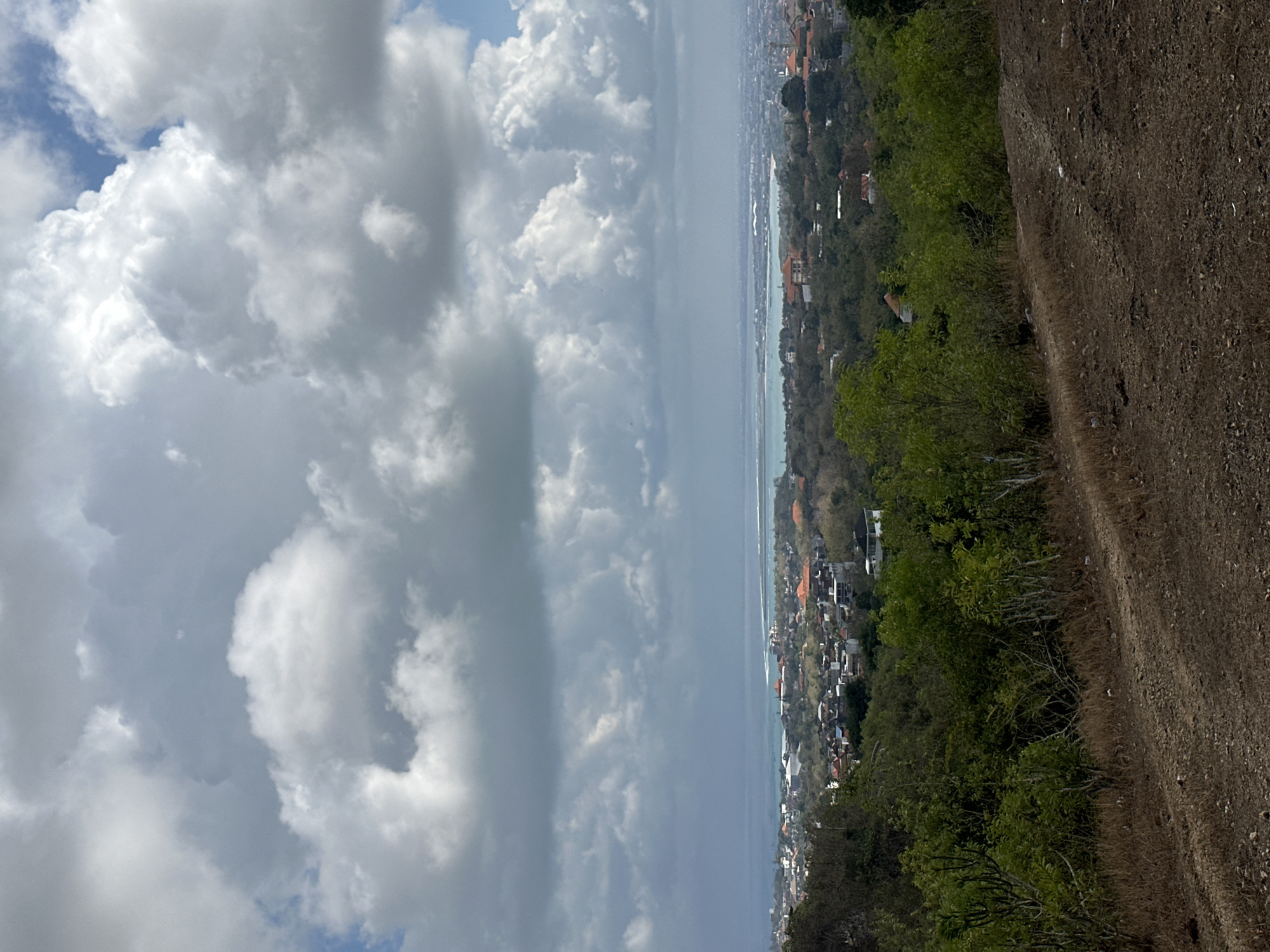 The image is a medium-shot, vertical, eye-level view of a landscape that appears to be a hilly area overlooking a coastal city. In the foreground, a dirt path slopes upwards, covered in dry, brown grass and scattered pebbles. Lush green foliage, including trees and bushes, dominates the middle ground, with some lighter green, sparser vegetation on the left and denser, darker green trees on the right.
Beyond the vegetation, a densely populated city stretches out, characterized by numerous buildings with orange, red, and white rooftops. The architecture suggests a tropical or subtropical region. In the background, a calm body of water, possibly a bay or ocean, is visible, with a distinct, lighter turquoise hue. The horizon line is low, with the water meeting the sky.
The sky is filled with dramatic, voluminous clouds, predominantly white and gray, with patches of blue sky peeking through. The lighting suggests a partly cloudy day, possibly with the sun intermittently breaking through the cloud cover. The scene conveys a sense of elevation and a panoramic view of a coastal urban area. The location is identified as Kuta Selatan, Indonesia, which is a district in the southern part of Bali, known for its beaches and tourist attractions.