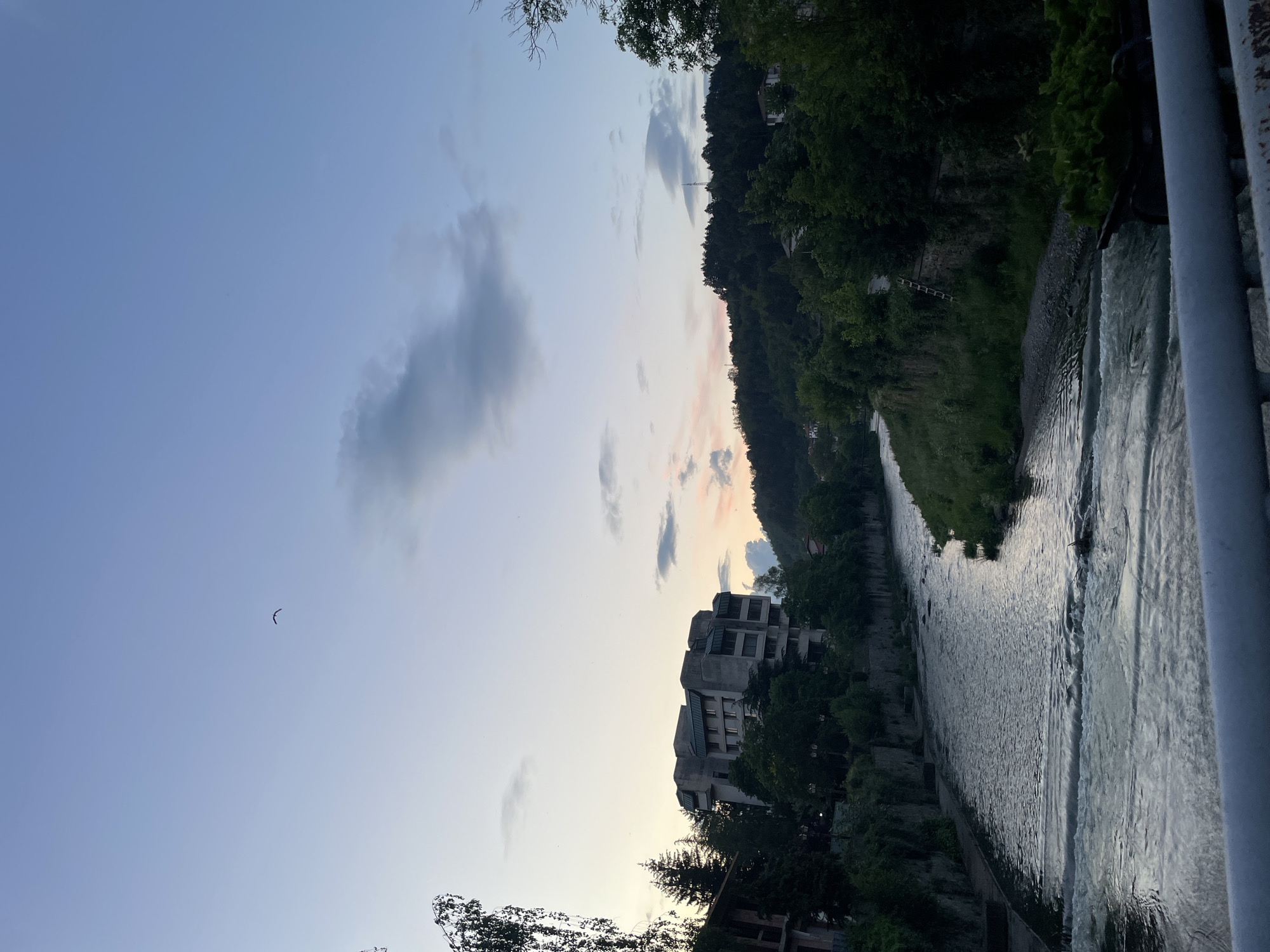 The image captures a view overlooking a river in what appears to be a built-up area in Zlatograd, Bulgaria. The river flows downwards toward the right of the frame, with a small cascade. Buildings and trees are visible along the riverbank. A forested hillside rises in the background. The sky is a gradient of blue and light hues with clouds, suggesting either dawn or dusk. A bird is flying high in the sky. The image is taken from an elevated position, likely a bridge or similar structure. The railing of the bridge is visible at the right of the frame.