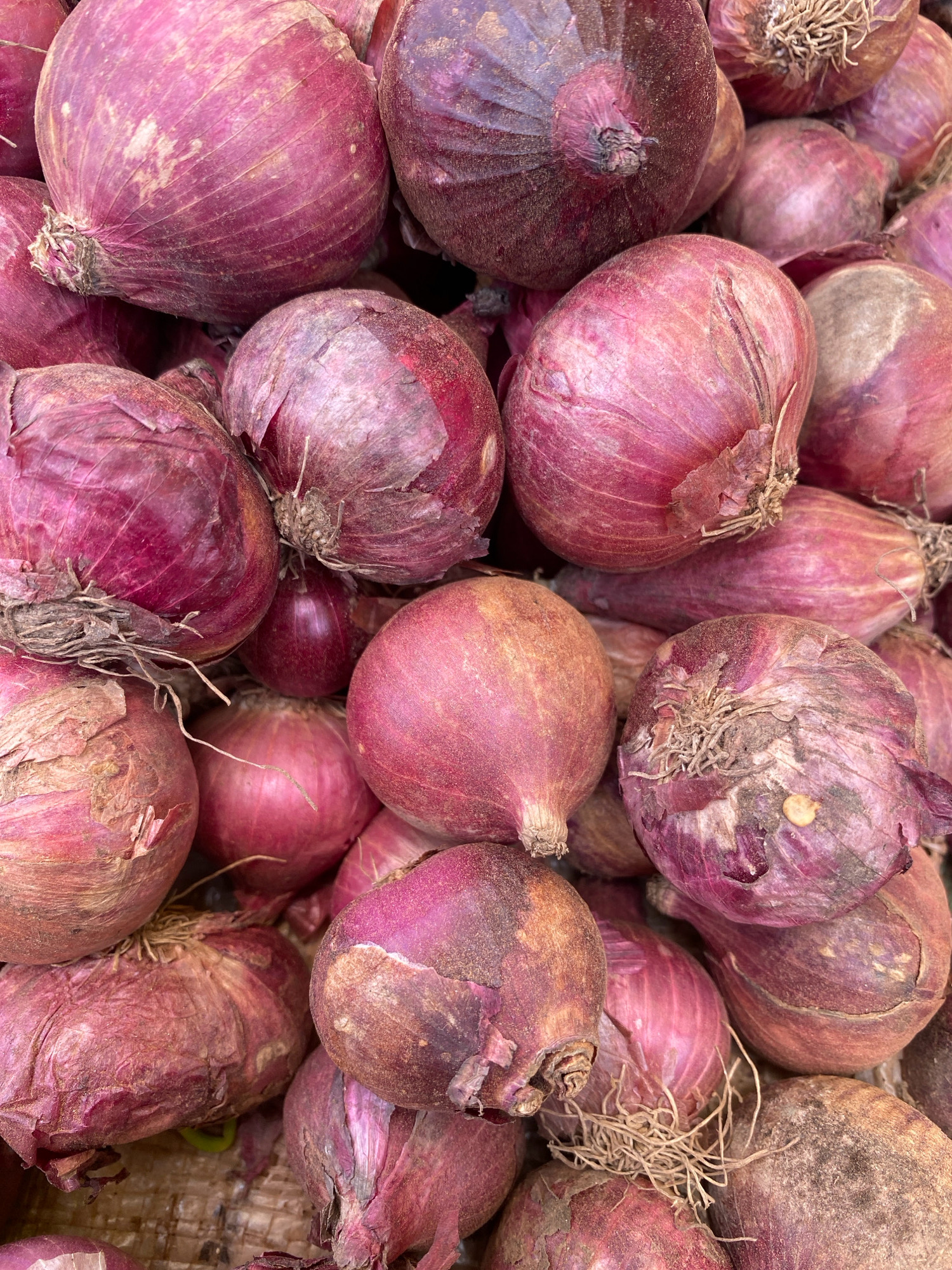 A close-up, high-angle shot displays a large pile of red onions. The onions, varying in size and shape, exhibit shades of deep red and purplish-pink. Some onions have their dry outer skins intact, while others show signs of peeling. The root ends of several onions are visible, with dried, fibrous root hairs. The overall texture is rough and organic. The lighting is even, highlighting the natural textures and colors of the produce. The background is indistinct, focusing attention entirely on the arrangement of the onions. This scene likely represents a vendor's stall or a market display in the city of Iworoko, Nigeria, where such produce is commonly sold.