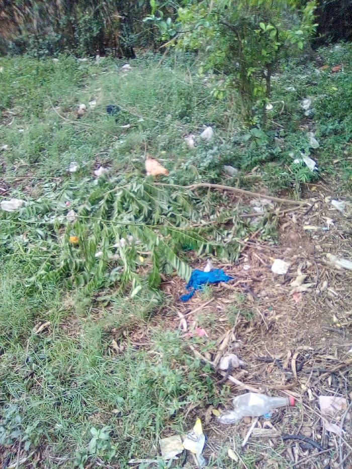 The image displays an unmaintained outdoor area in Bondo, Kenya, characterized by mixed vegetation and significant litter. The ground consists of soil, dry leaves, and patches of green grass, interspersed with larger leafy plants and shrubs. Numerous pieces of refuse are scattered across the scene. Specifically, white plastic bags and packaging materials are visible throughout. A prominent piece of blue fabric or plastic material lies centrally, partially covered by green foliage. In the lower right foreground, a clear plastic bottle with a red cap is positioned horizontally on the ground. Fallen green tree branches and foliage are present, with one large branch extending across the mid-ground. An unidentifiable orange-tan object is partially visible within the upper-mid foliage. No individuals, animals, or explicit actions are discernible.