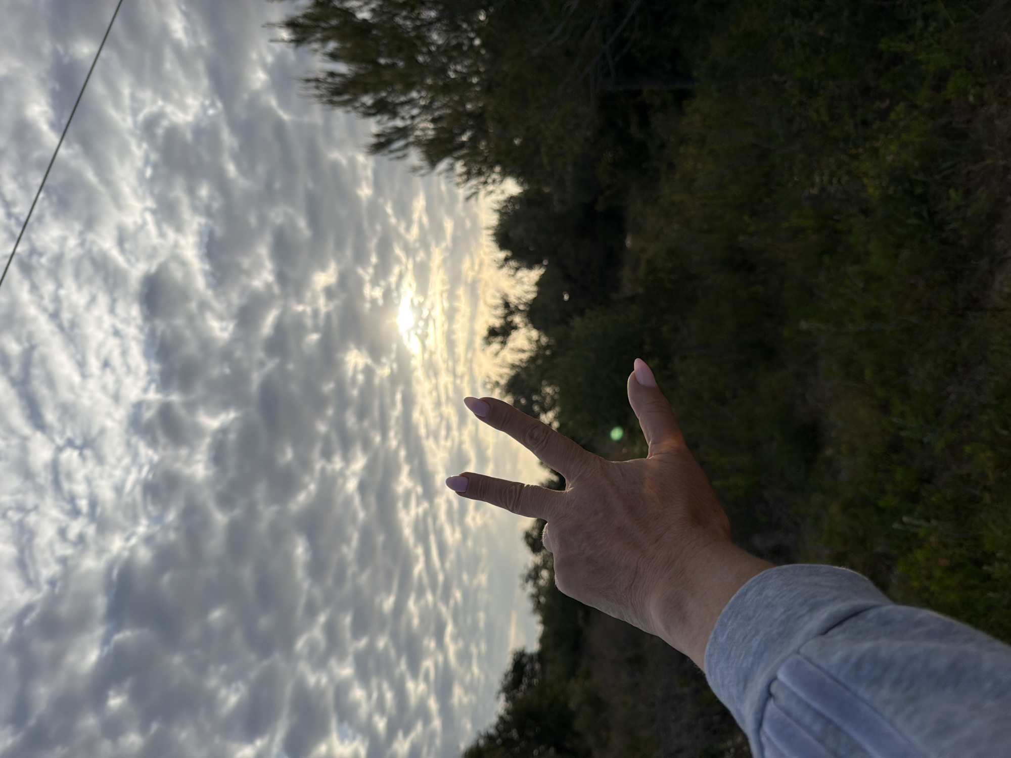A daytime scene shows a hand making a “three” hand sign. The background consists of a cloudy sky, trees, and a green vegetation area. The photo is taken outdoors. There is no indication of the location being Mont-roig del Camp, Spain, in the image.