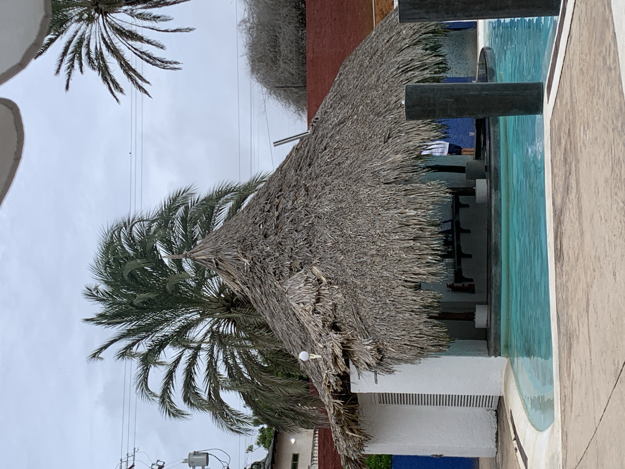This image depicts a tiki-style outdoor bar area adjacent to a curvilinear swimming pool under an overcast sky, located in Playa El Agua, Venezuela.
The central feature is a large, conical palapa structure with a thick, dry straw or palm frond roof, exhibiting wear and frayed edges. This roof covers a bar area with white stucco walls. A white light fixture on a yellow pole extends from the front edge of the palapa's roof. Inside the open bar area, a dark counter is visible, along with a red fire extinguisher mounted on a back wall. The lower torso and legs of a person in a white shirt and blue shorts are visible standing behind the bar.
In front of the bar is a light blue swimming pool with white concrete coping. The pool's edge follows a gentle curve. Two dark, cylindrical posts, possibly decorative or structural elements, rise from the pool's edge on the right side of the frame; one is partially submerged. The immediate foreground consists of a textured concrete deck.
To the left of the palapa, a white building with vertical louvered windows or vents is attached. Further left, an electrical utility pole with grey transformers and multiple overhead power lines is visible against the sky. A large, dark green palm tree stands directly behind the palapa, its fronds spreading upwards. Another palm tree is partially visible on the far right. In the distant background, behind a red-painted wall, is a mass of dry, light grey, brushy vegetation or trees. A small bird is perched on one of the distant power lines.