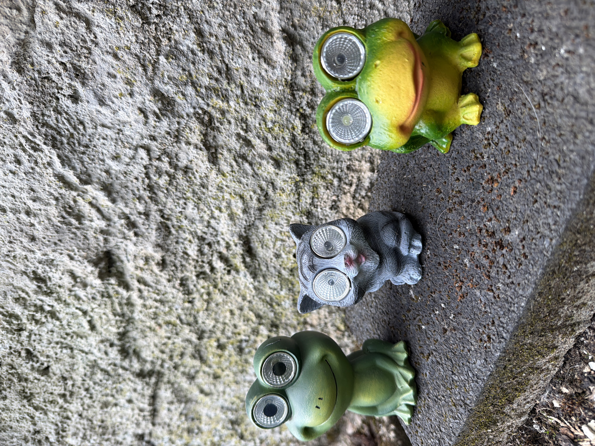 A high-angle close-up shot depicts three garden ornaments on a rough, textured surface, possibly a concrete slab or wall. The ornaments consist of two frogs, one green and one yellow, and a grey cat. Each ornament has large, round eyes that appear to be solar-powered lights. The photo's background includes a light grey, weathered concrete surface. The location appears to be outdoors, possibly in Esch-sur-Alzette, Luxembourg. No people or animals are visible.