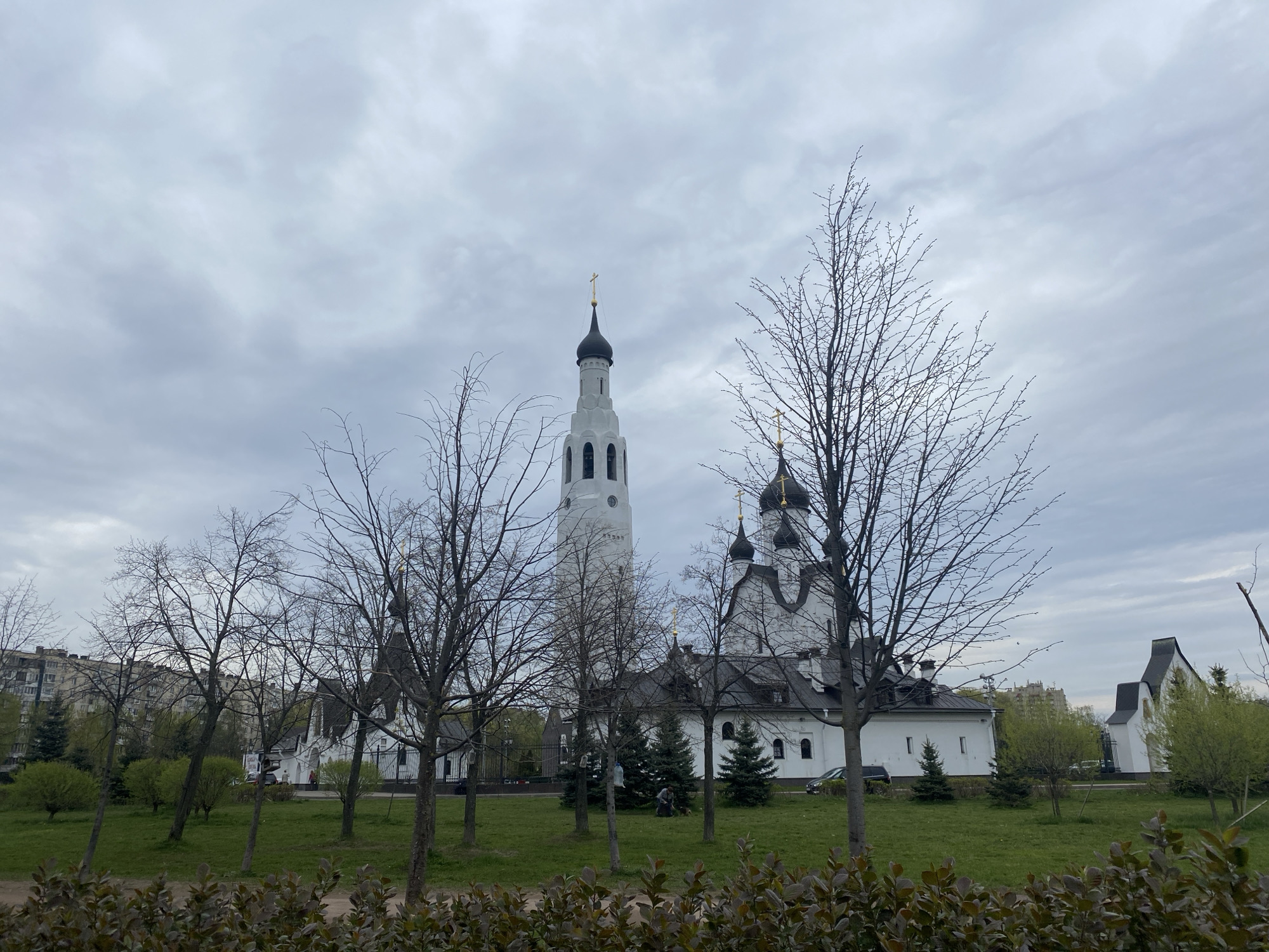 The image depicts a white Orthodox church with black domes and a tall, slender bell tower in Saint Petersburg, Russia. The church is framed by bare trees in the foreground, with a green lawn and low shrubs. The sky is overcast. Several small evergreen trees are planted near the building. A multi-story residential building is visible in the background on the left.