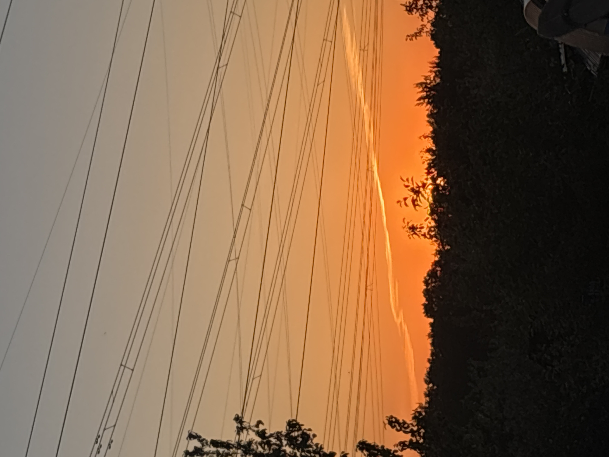 Here is a description of the image:
The image depicts a sunset in what could be the city of Chaikovsky, Russia, given the context provided. The sun is setting, casting an orange glow through the sky, partially obscured by trees on the right. High-voltage power lines are visible against the sky.