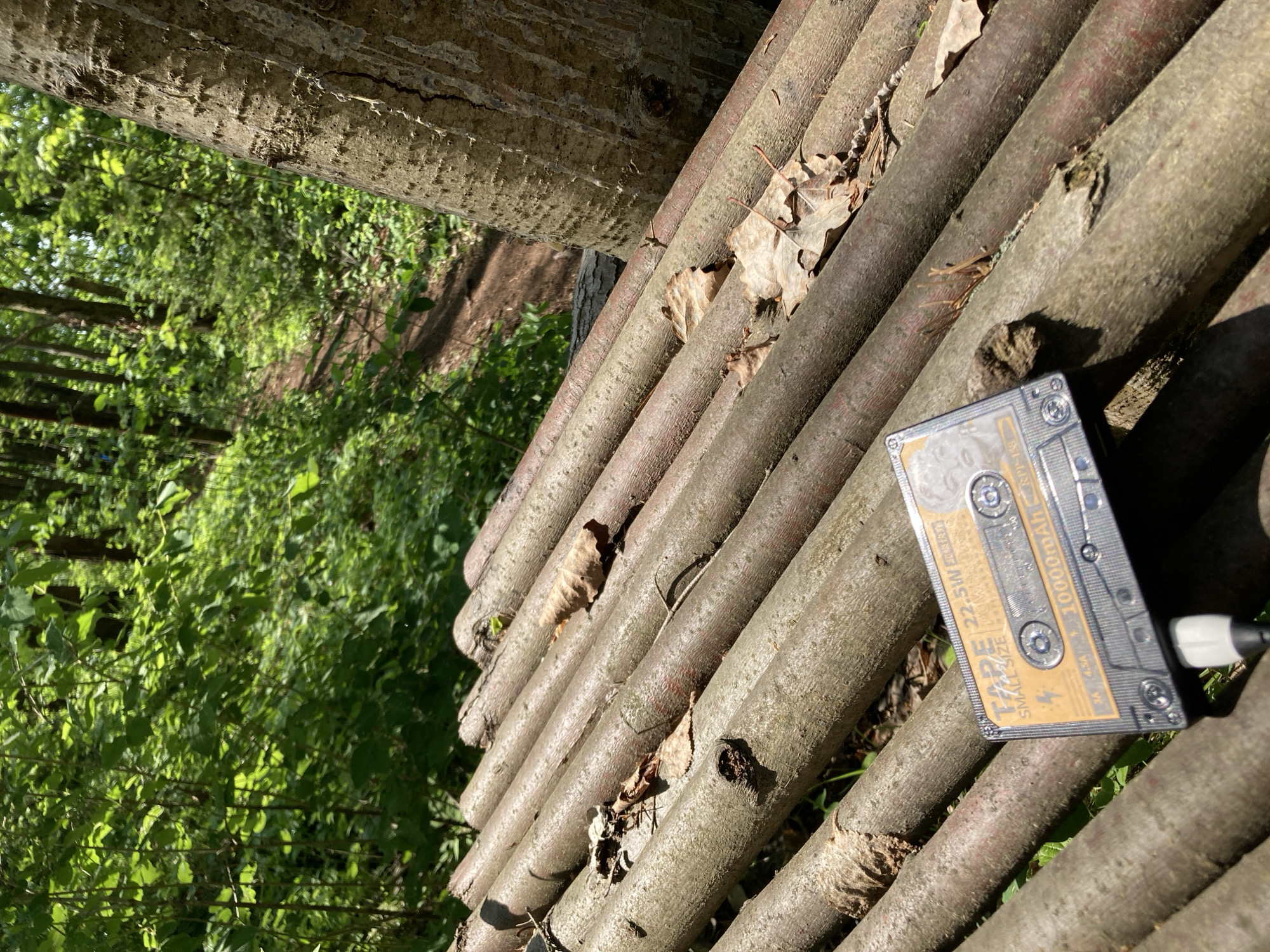 A stack of wooden poles lies in an outdoor environment with green foliage in the background. A cassette tape-shaped object with a cable attached rests on the poles.