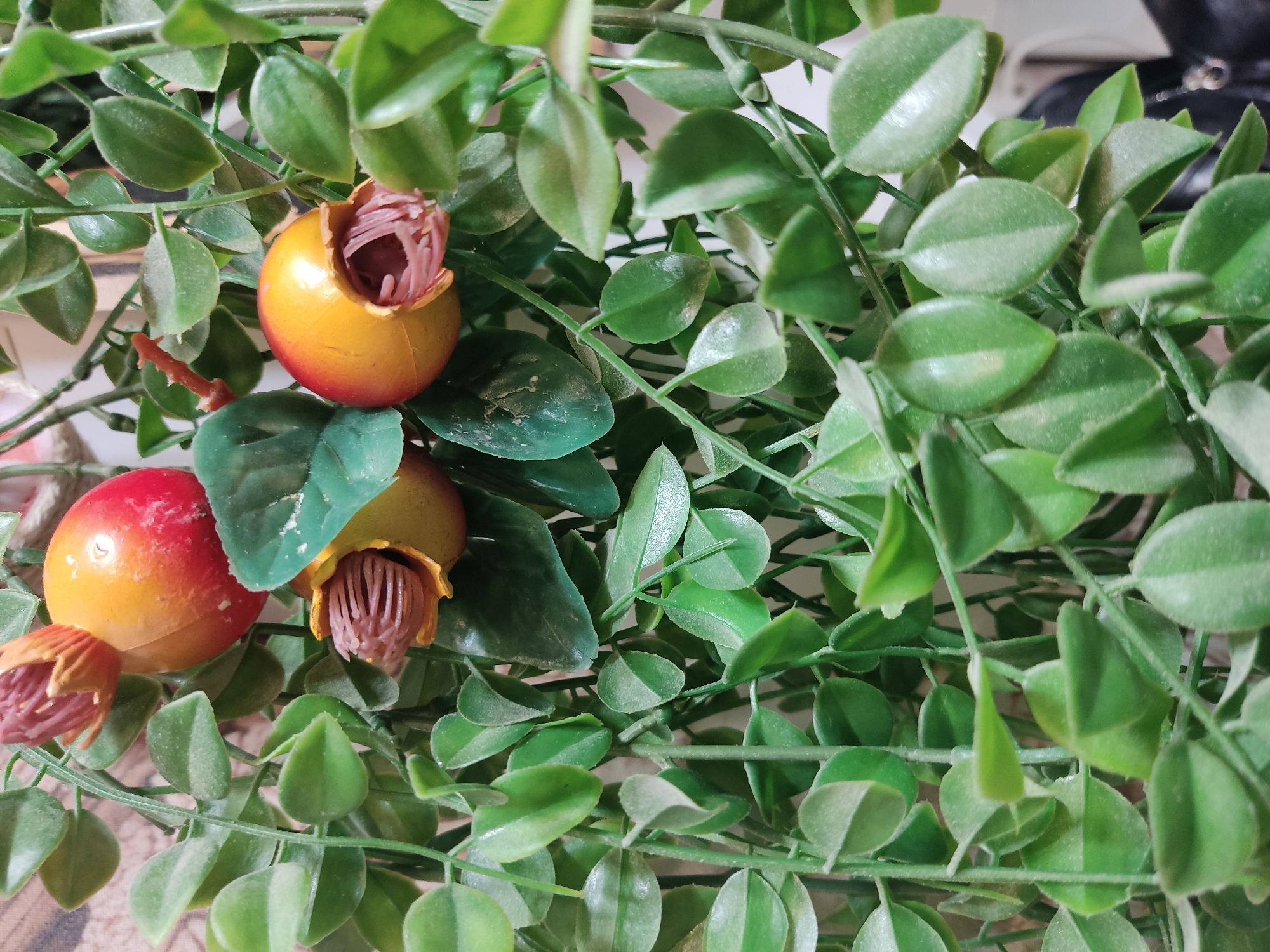 A close-up, slightly angled, full shot shows artificial pomegranate-like fruits hanging among lush green leaves. The fruits are round, with a red and yellow gradient, and some are split open, revealing brown, stringy interiors. The leaves are small, oval-shaped, and a vibrant green, forming a dense canopy. The background is softly blurred, suggesting an indoor setting, possibly a home or shop. No people are visible in the image. The scene is static and decorative.
