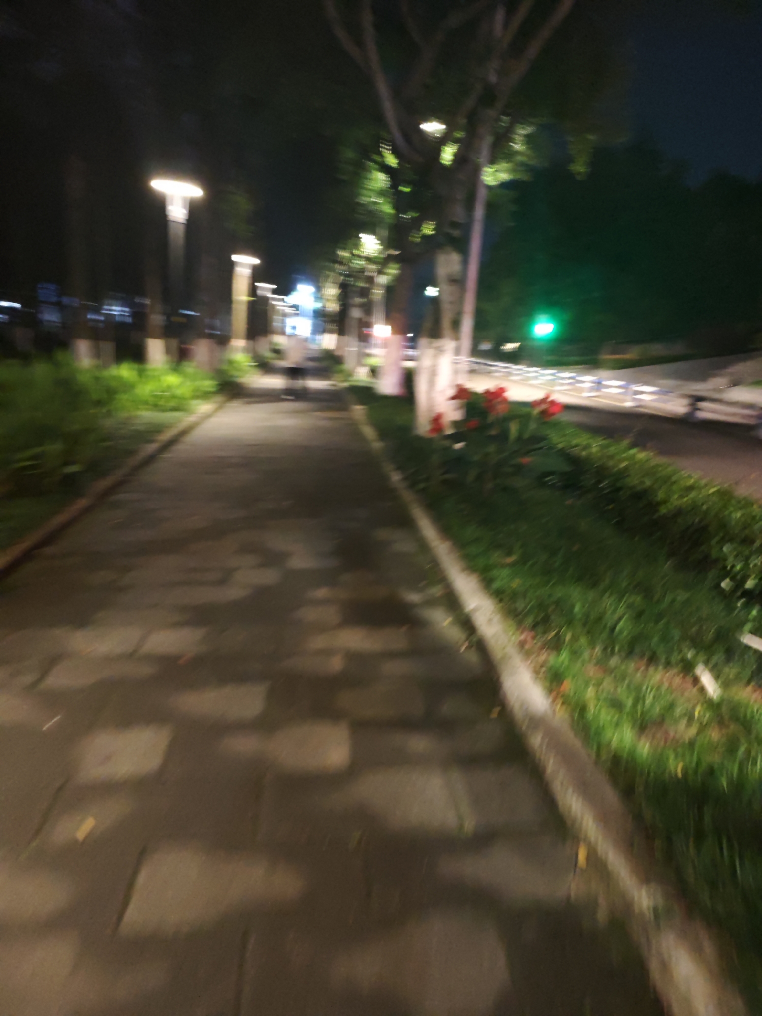A motion-blurred nighttime scene shows a pedestrian walkway in the Chongqing High-tech Zone, China. The walkway is paved with dark square tiles and bordered by green grass and a concrete curb. Several modern, illuminated lampposts stand along the left side of the walkway, casting a warm glow. To the right of the walkway, there is a road with a green traffic light visible in the distance and a line of white and blue barriers. A cluster of red flowers is also visible in the grassy area. The overall impression is a slightly disorienting but atmospheric urban nightscape.