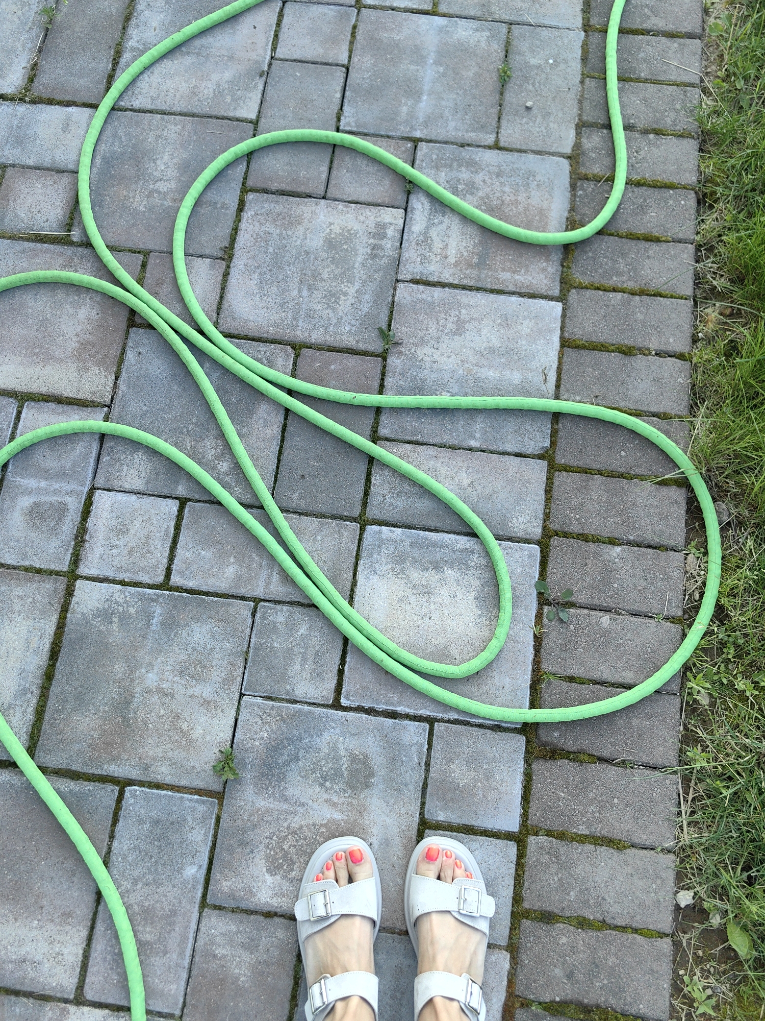 A high-angle shot captures a person's feet wearing white sandals with buckles, standing on a paved patio. The sandals have bright orange nail polish on the toes. A bright green garden hose is coiled haphazardly across the patio, with a section of lush green grass visible along the right edge of the frame. The patio is made of rectangular gray and beige pavers, with some moss and small weeds growing in the cracks. The lighting suggests it is daytime, likely outdoors. The scene appears to be a residential backyard or garden area in Fanipal, Belarus. There is no visible text in the image.