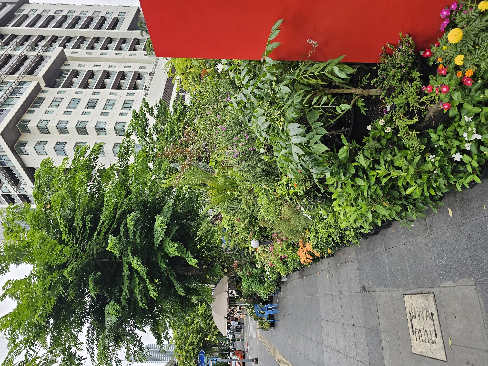 This image captures a street scene in Bangkok, Thailand, likely in a commercial or residential area, given the presence of a modern high-rise building in the background. The foreground features a lush display of potted plants and trees lining a grey tiled sidewalk. Among the greenery, there are vibrant orange and pink flowers, creating a colorful contrast with the foliage. A beige umbrella provides shade over a small gathering of people, and a bright blue plastic chair sits nearby. The sidewalk has a yellow tactile paving strip, indicating a pedestrian area. To the right of the plants, a large, solid red wall dominates the edge of the frame, obscuring whatever lies beyond. In the distance, traffic is visible on a street, and a tall, white residential building with multiple balconies stands against an overcast sky. The overall scene suggests a vibrant, urban setting where nature and modern architecture coexist, possibly a street vendor or a public garden area.